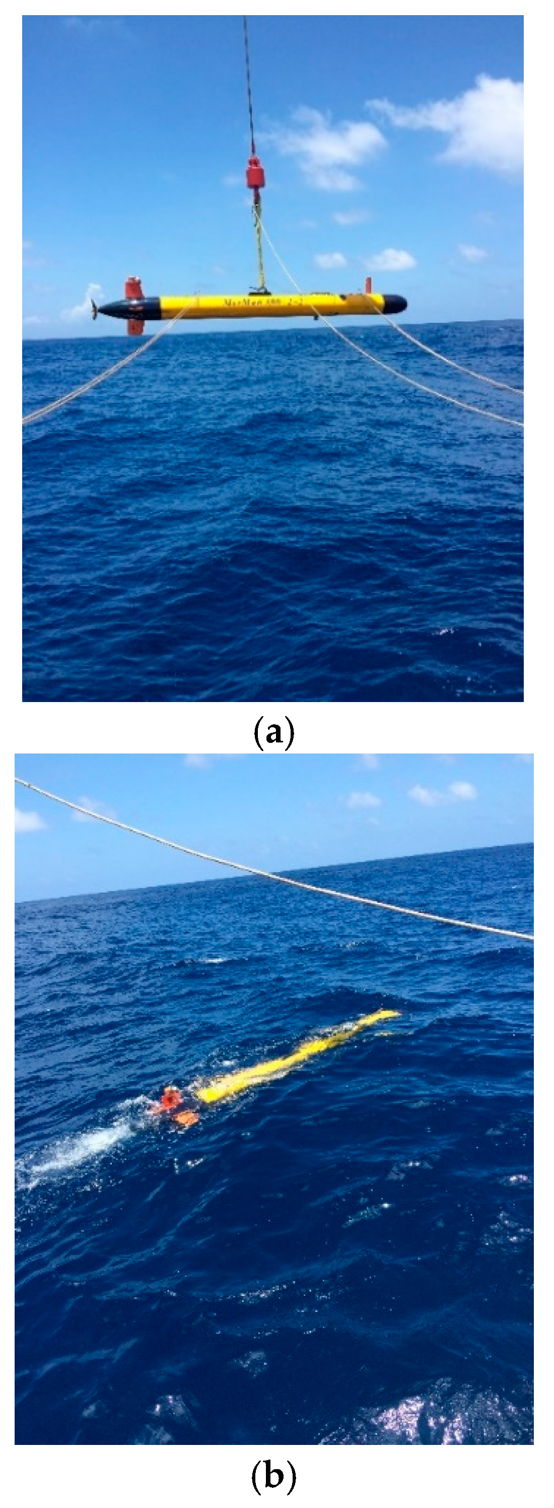 Sensors 25 01015 g007