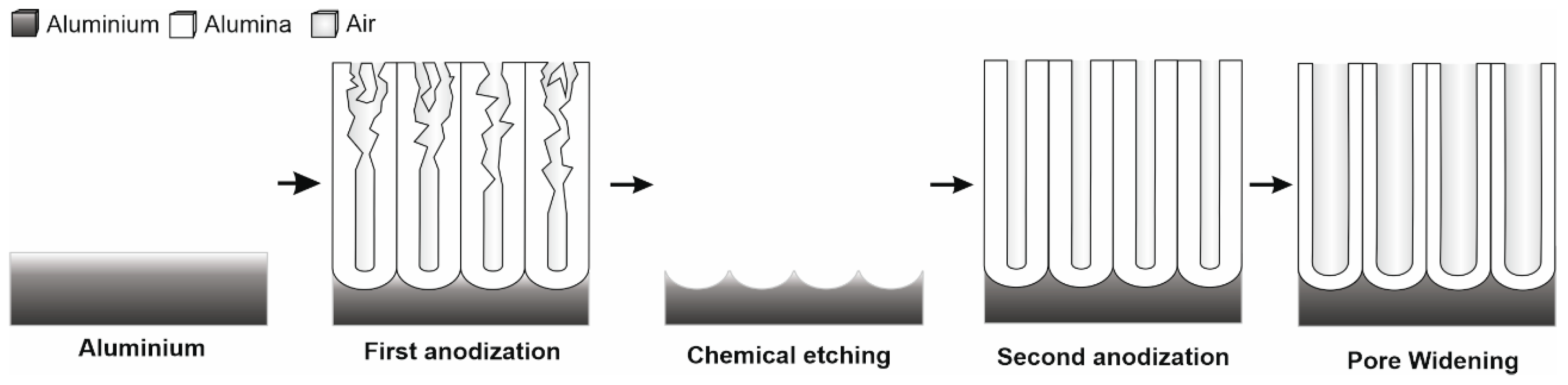 Sensors 25 01021 g001 Sensors 25 01021 g001