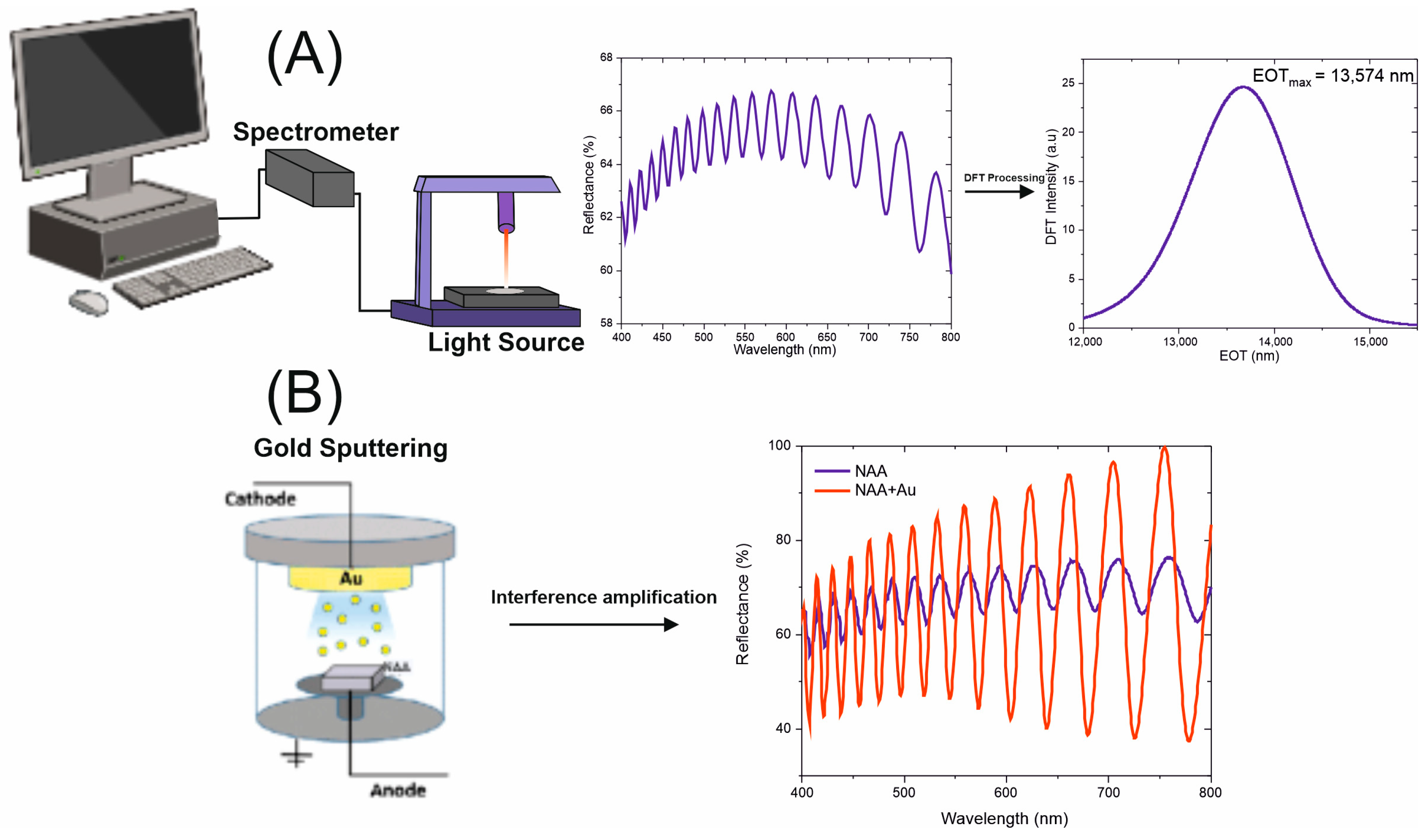 Sensors 25 01021 g003 Sensors 25 01021 g003