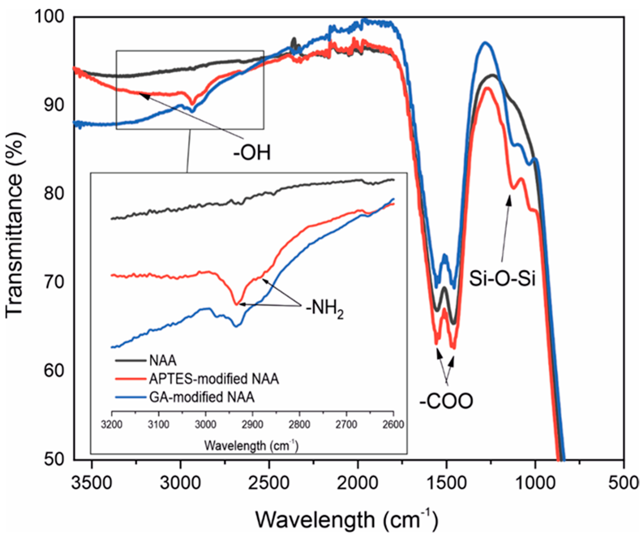 Sensors 25 01021 g005 Sensors 25 01021 g005