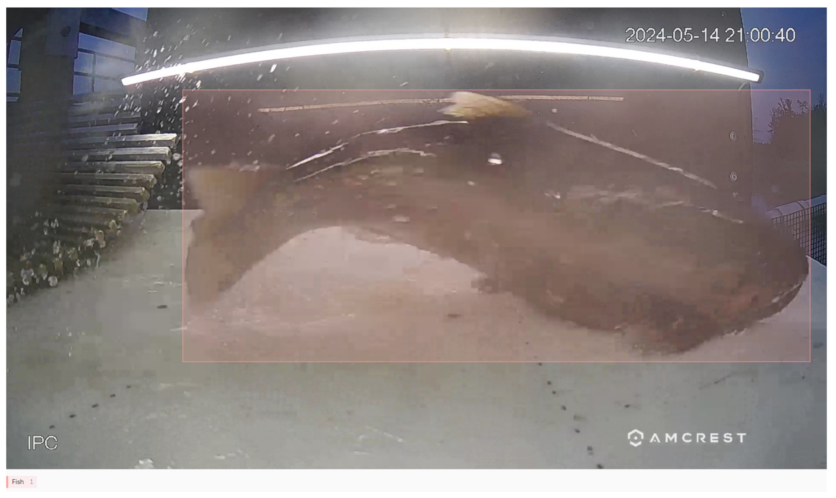 Sensors 25 01022 g002