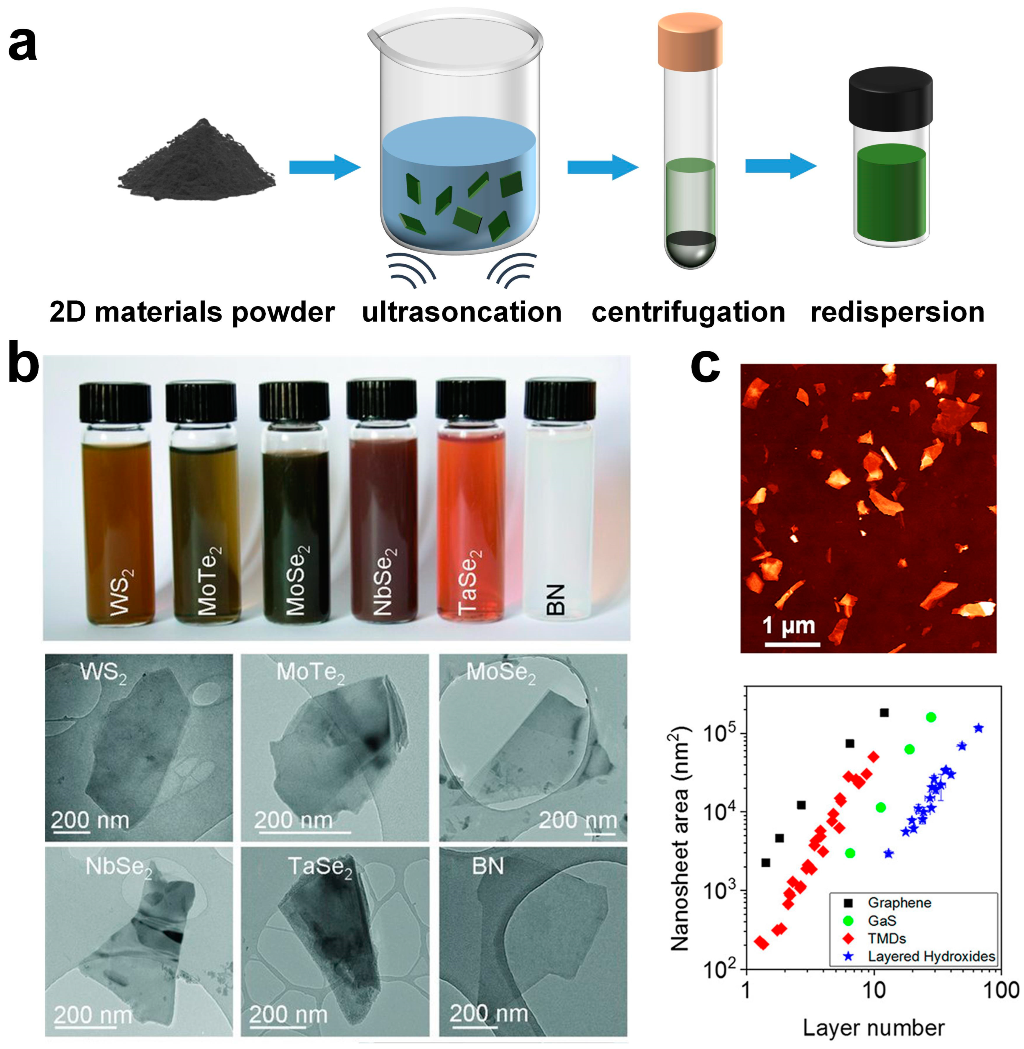 Sensors 25 01042 g001