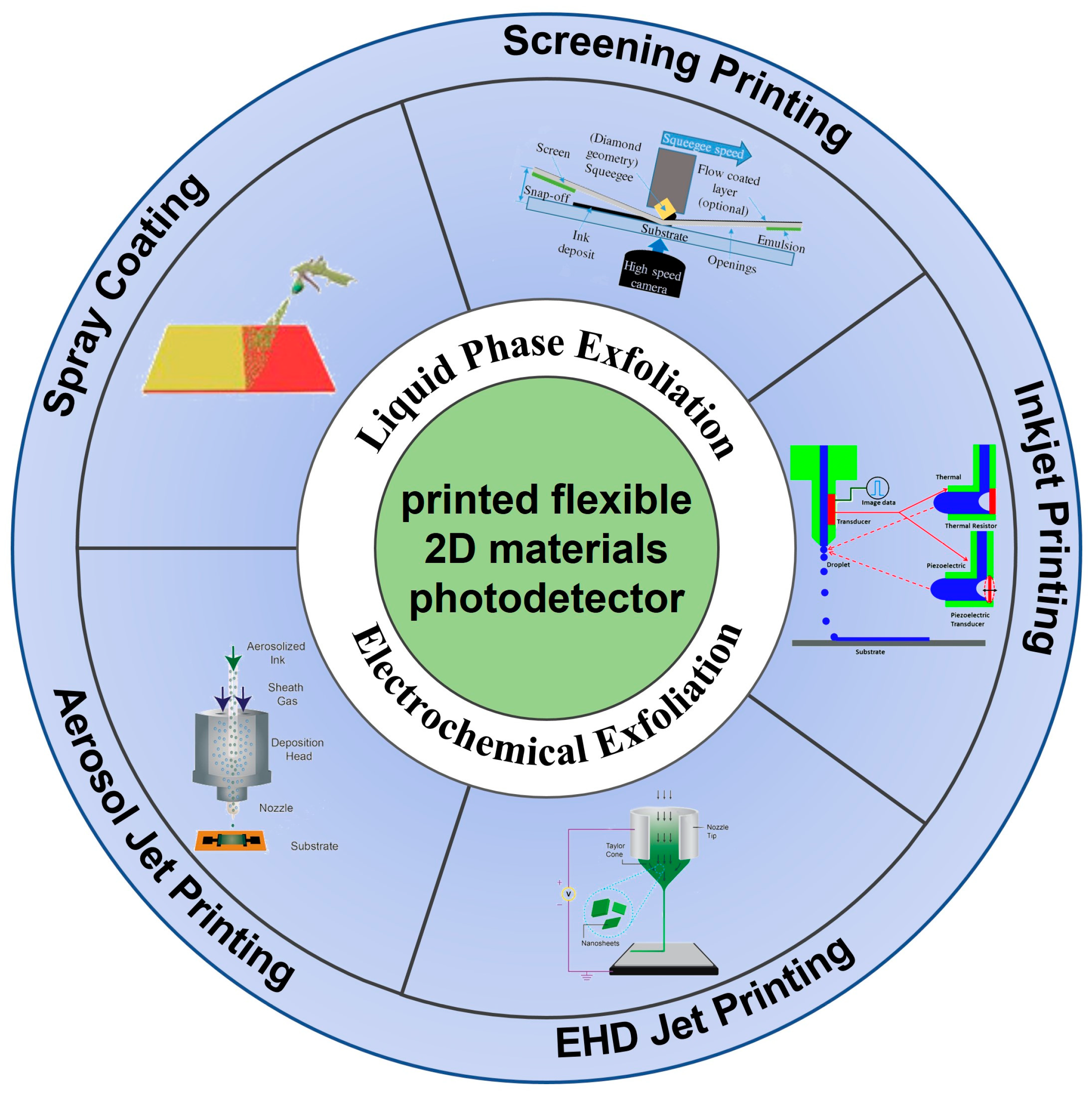 Sensors 25 01042 sch001
