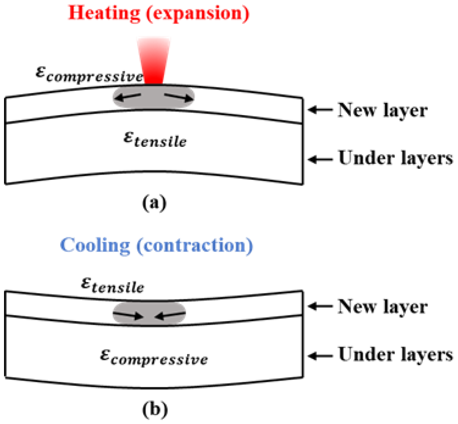 Sensors 25 01043 g005
