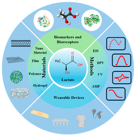 A Comprehensive Review of Advanced Lactate Biosensor Materials