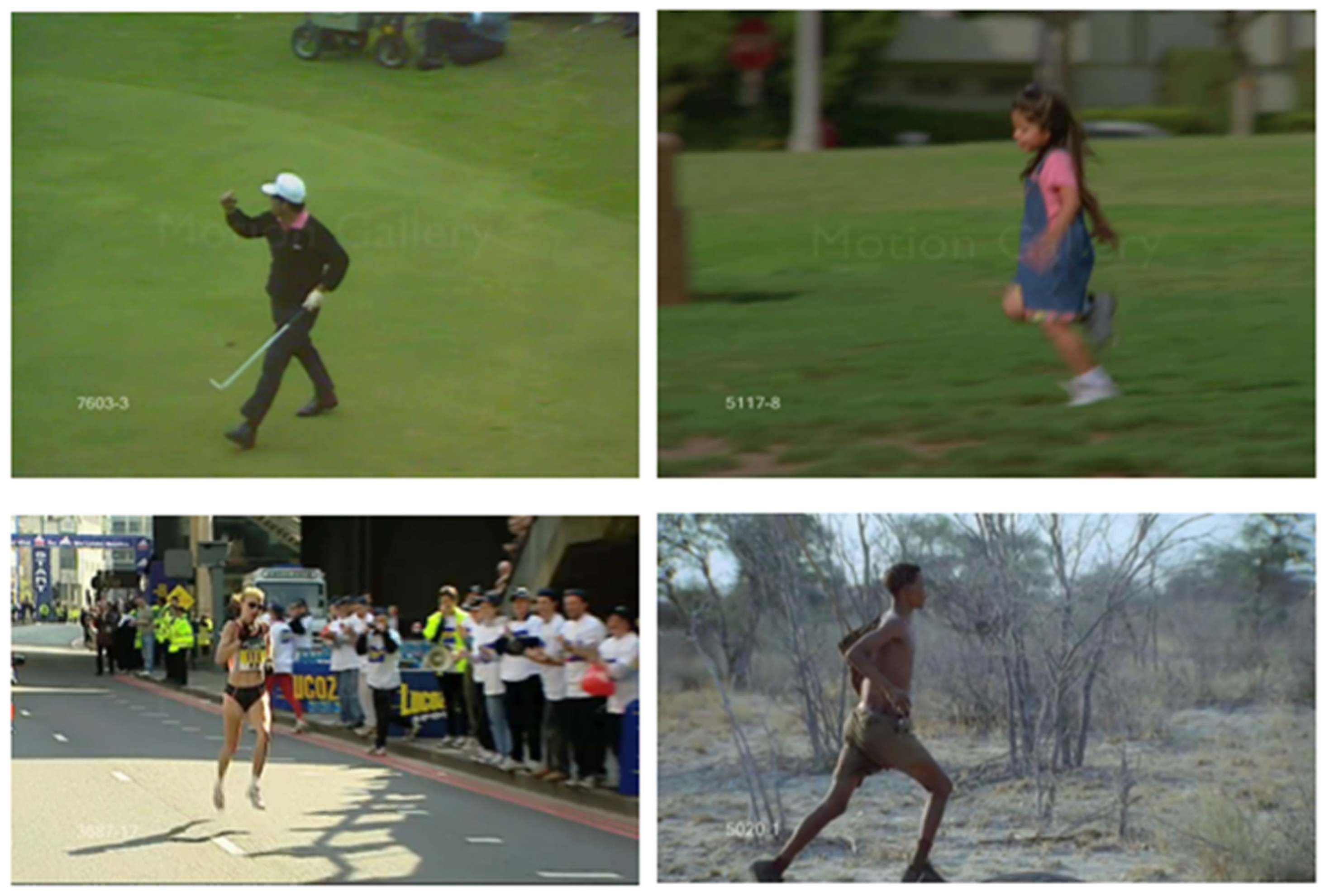 Sensors 25 01048 g005 Sensors 25 01048 g005