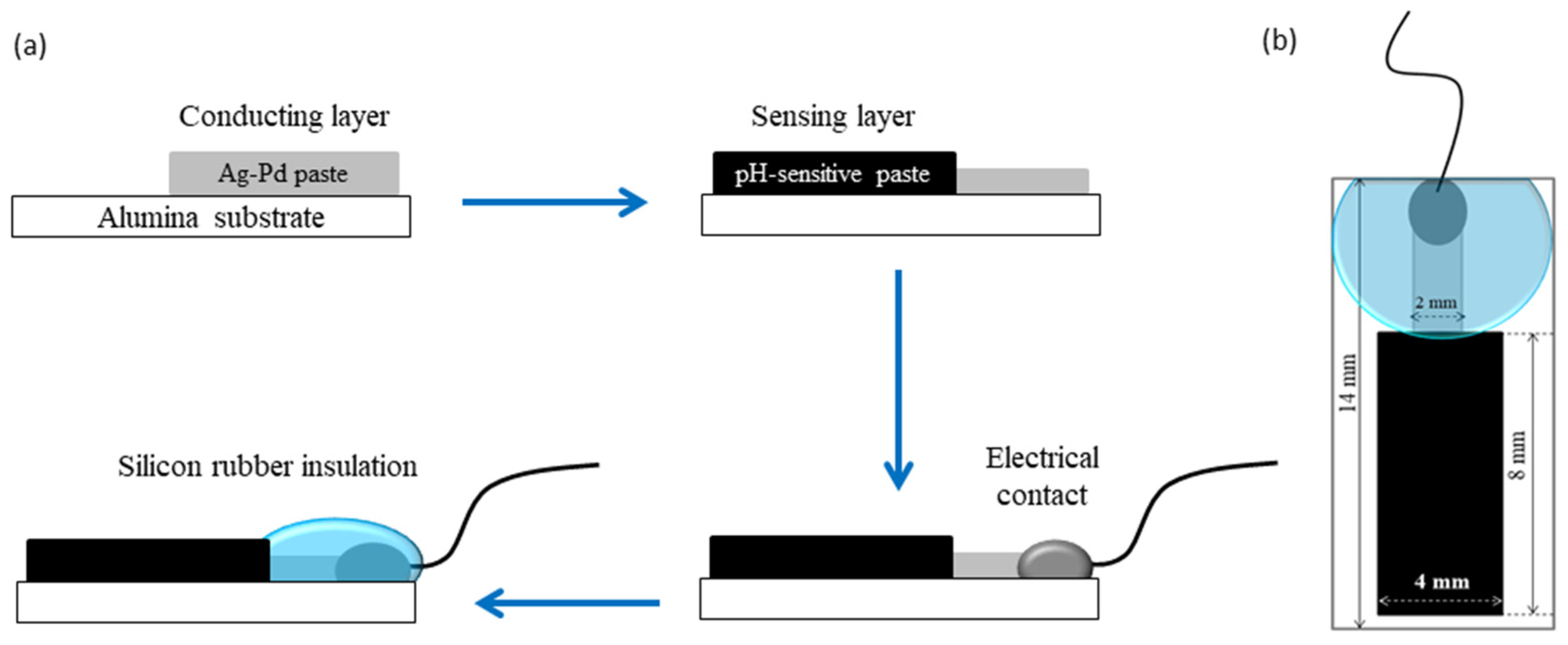 Sensors 25 01065 g001