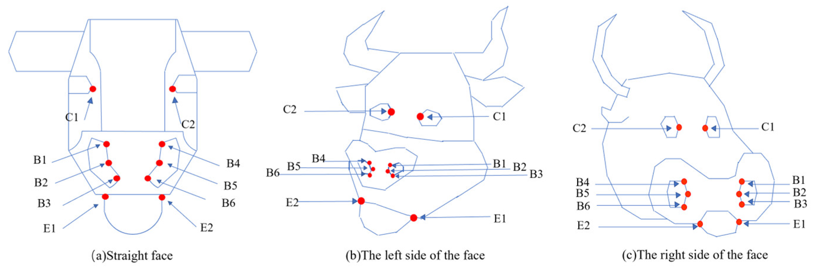 Sensors 25 01084 g006