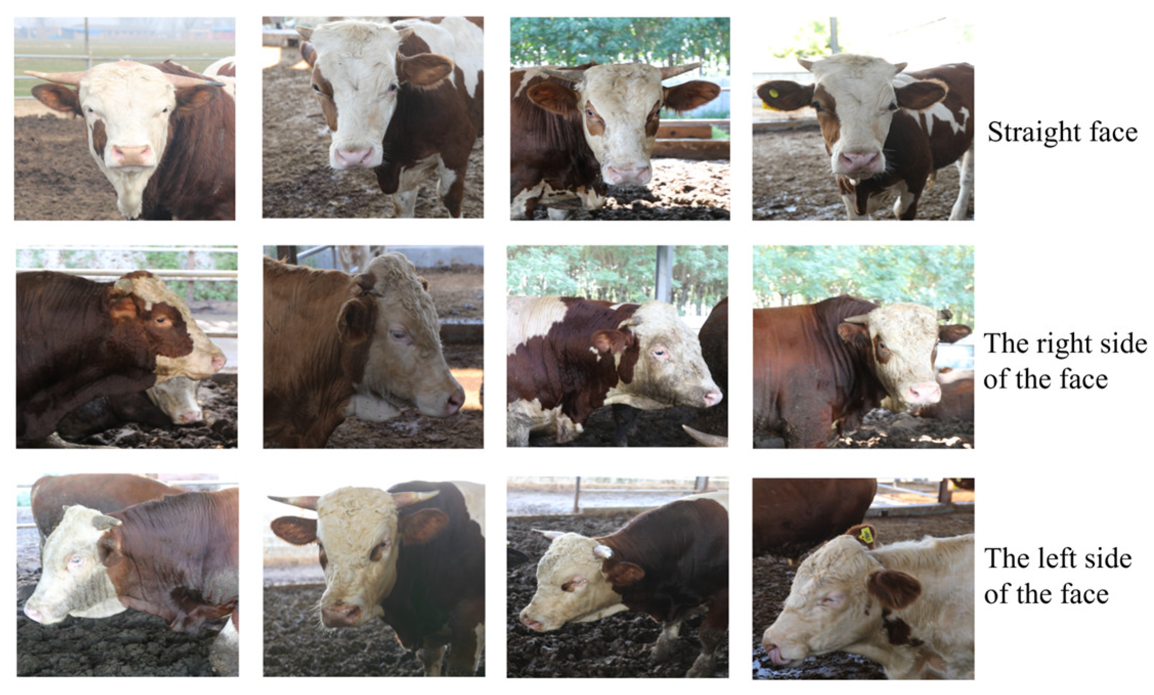 Sensors 25 01084 g008