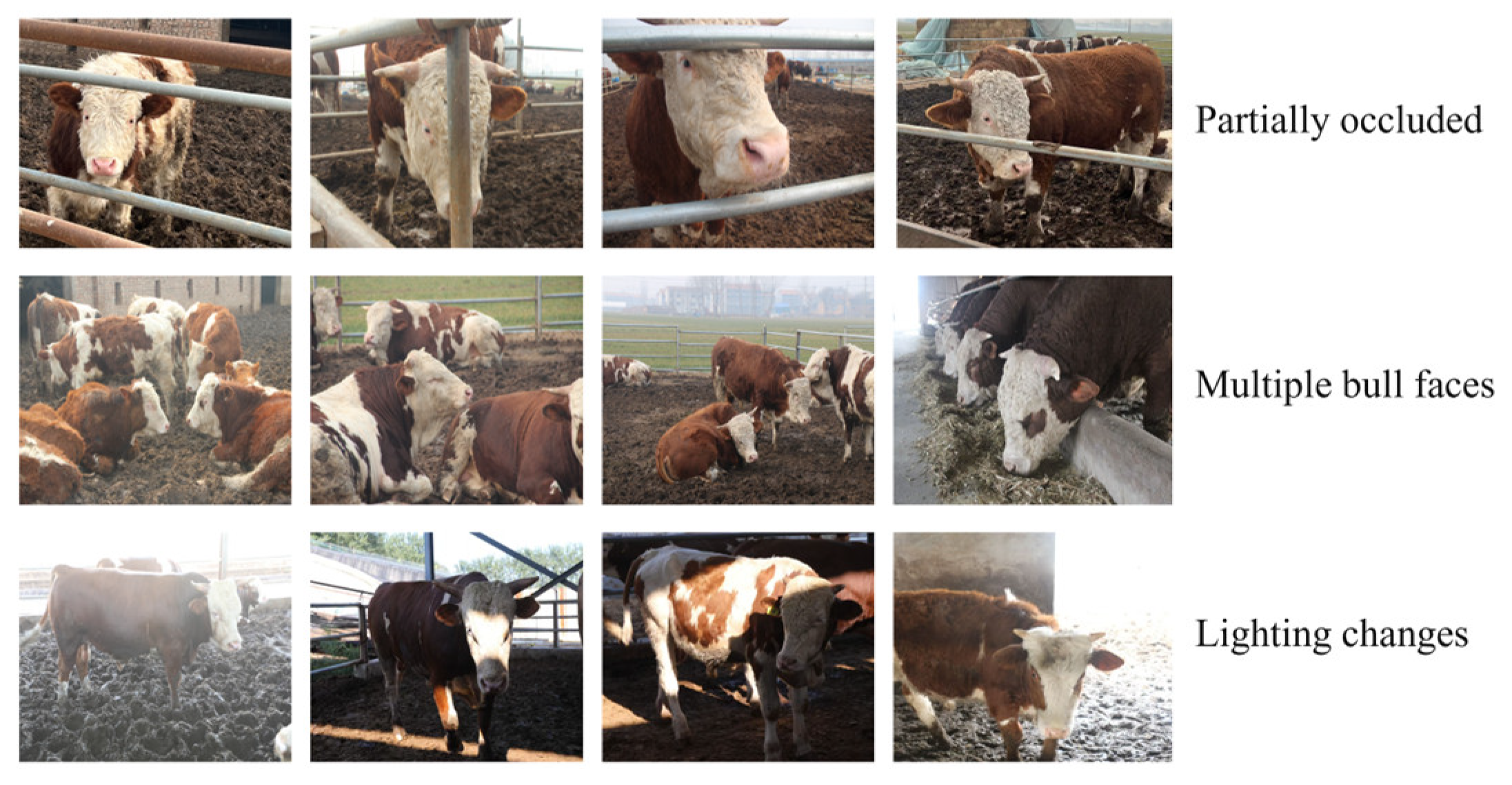 Sensors 25 01084 g009