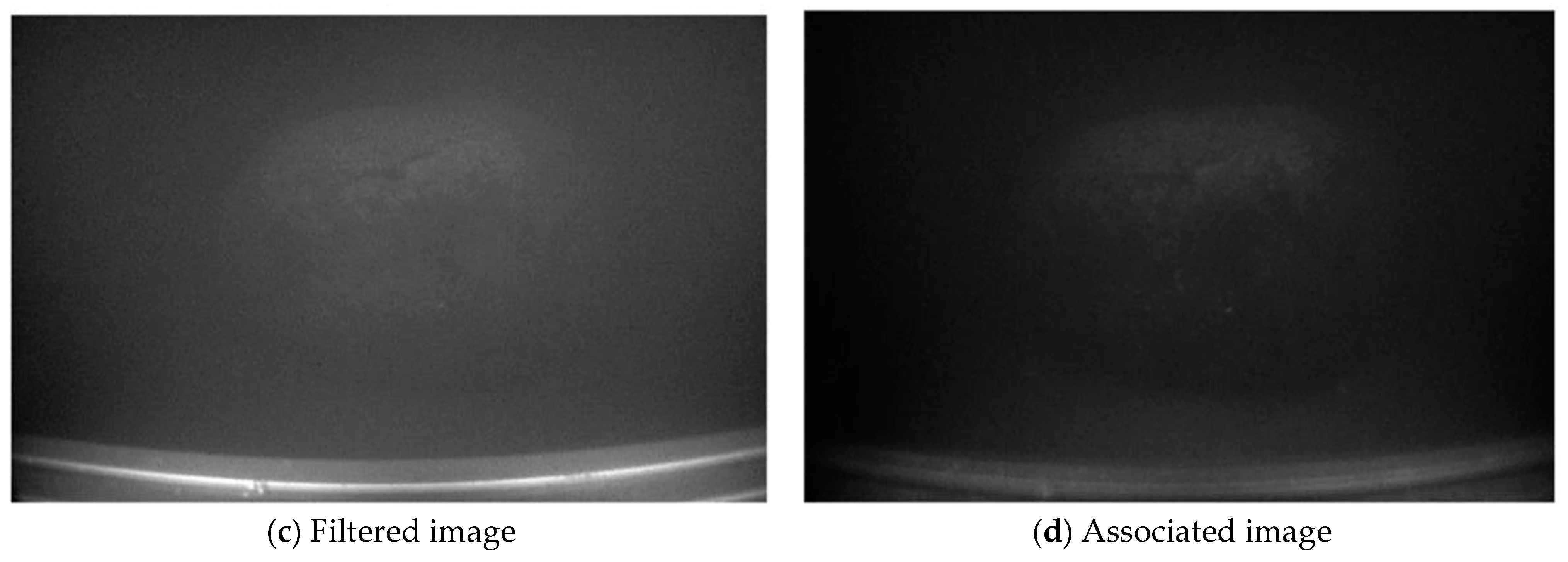 Sensors 25 01088 g005b