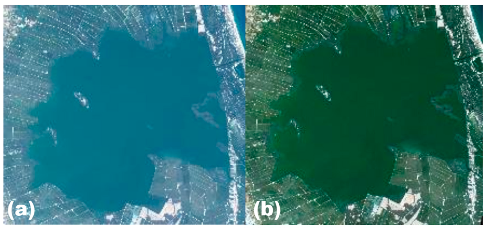 Sensors 25 01103 g002