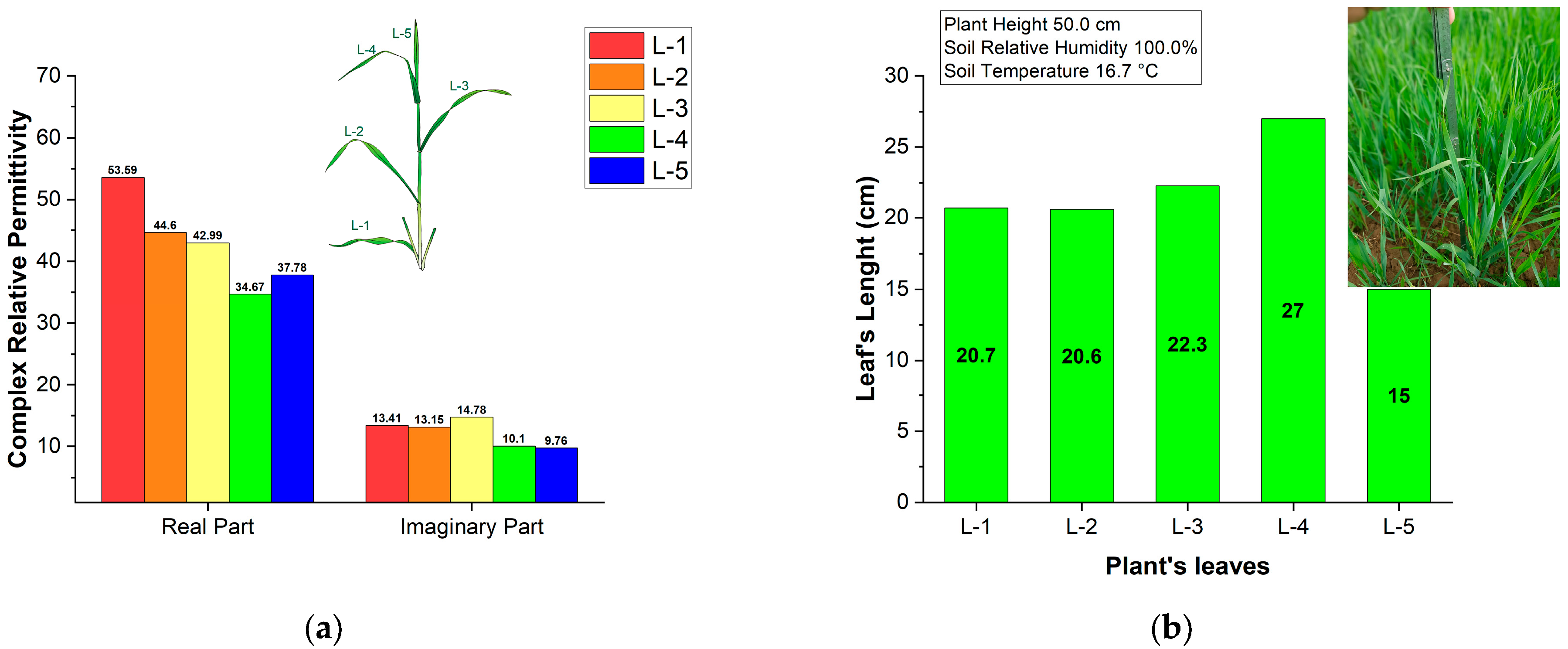 Sensors 25 01118 g006