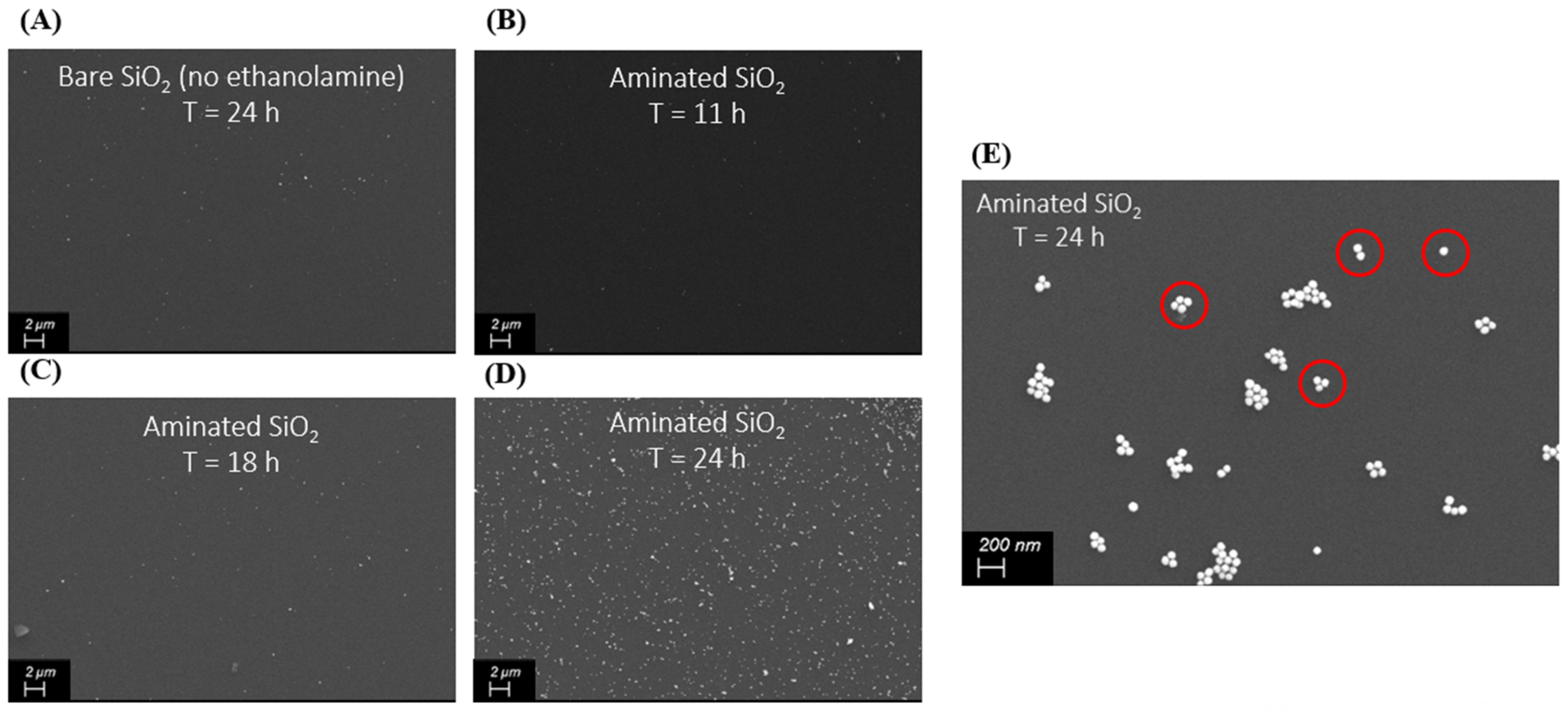 Sensors 25 01165 g014