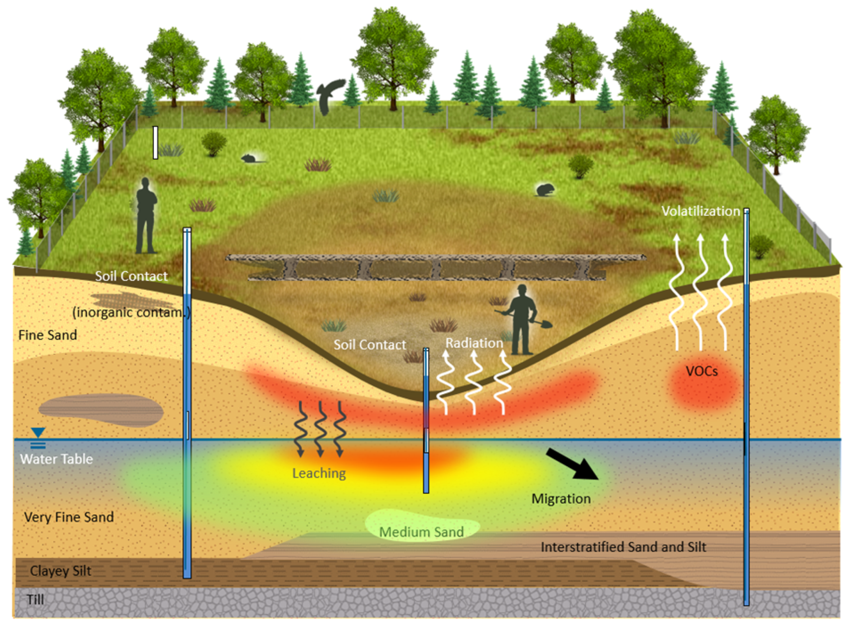 Sensors 25 01183 g001