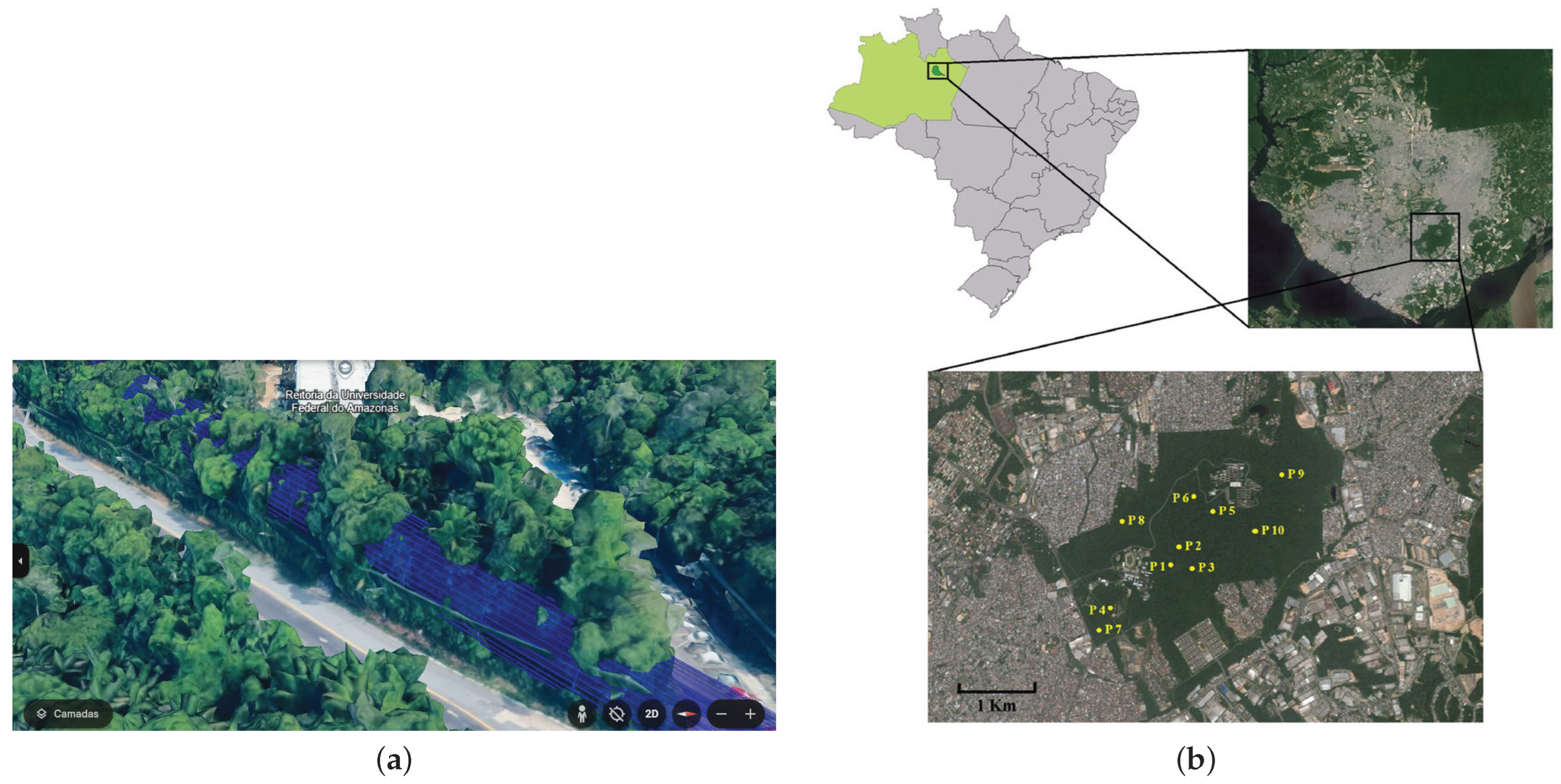 Sensors 25 01200 g013