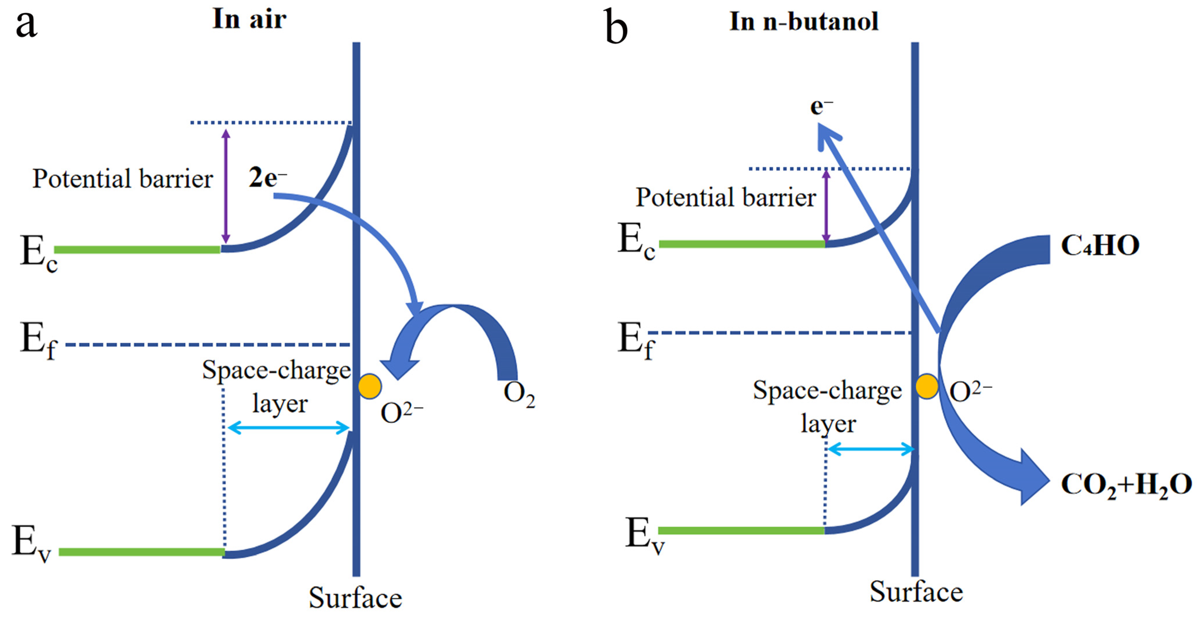 Sensors 25 01208 g011