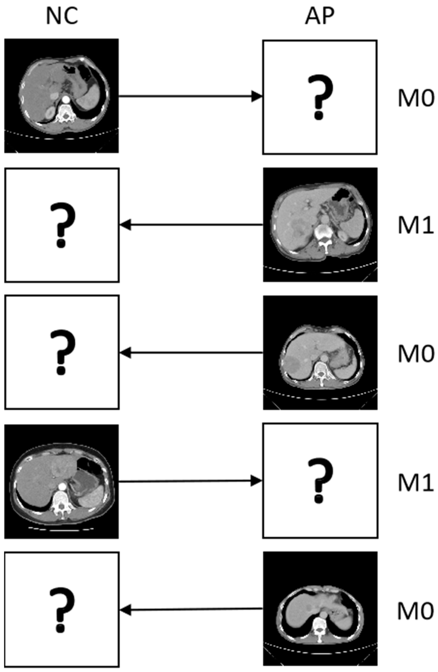 Sensors 25 01215 g002