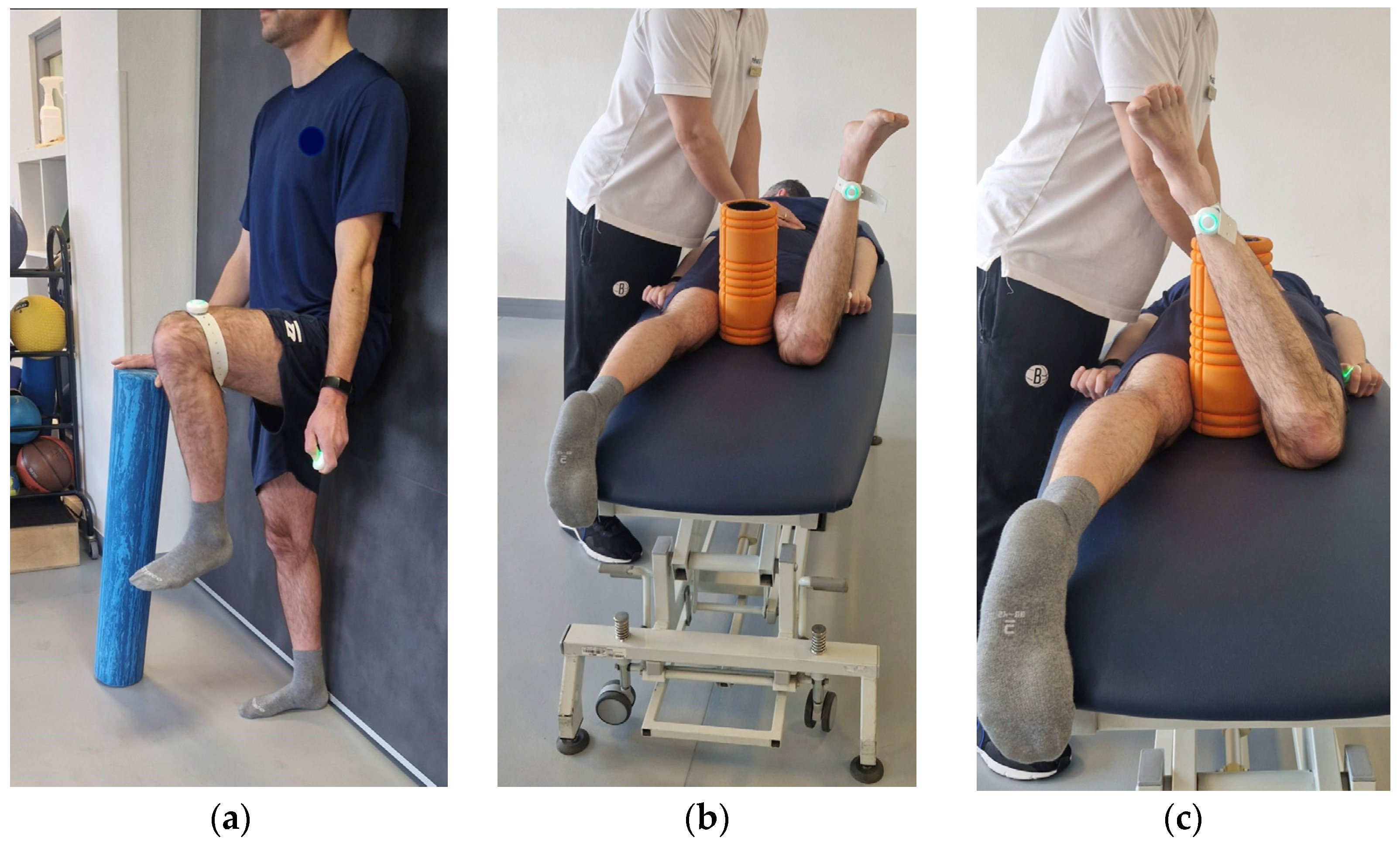 Sensors 25 01219 g001