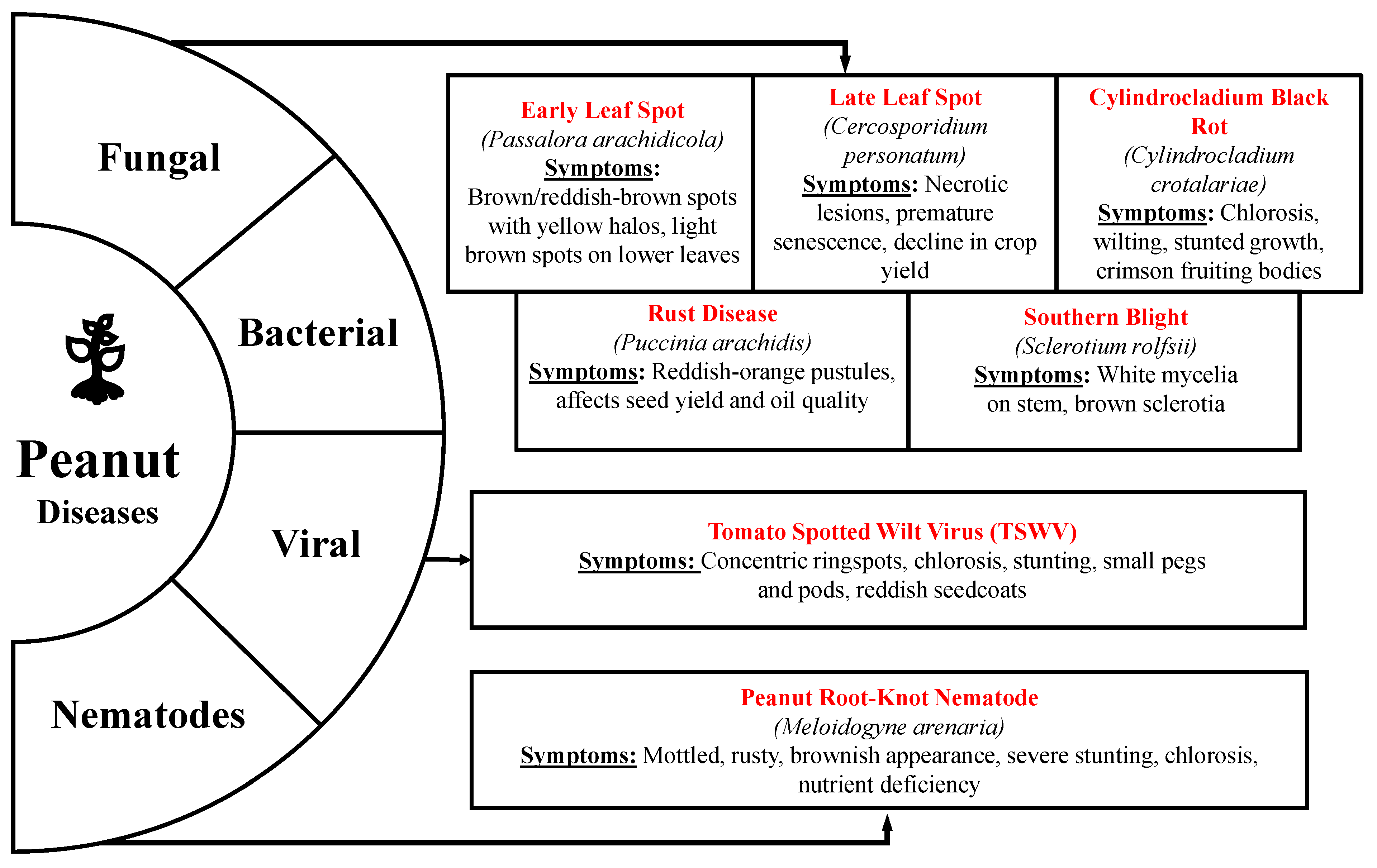 Sensors 25 01255 g001 Sensors 25 01255 g001