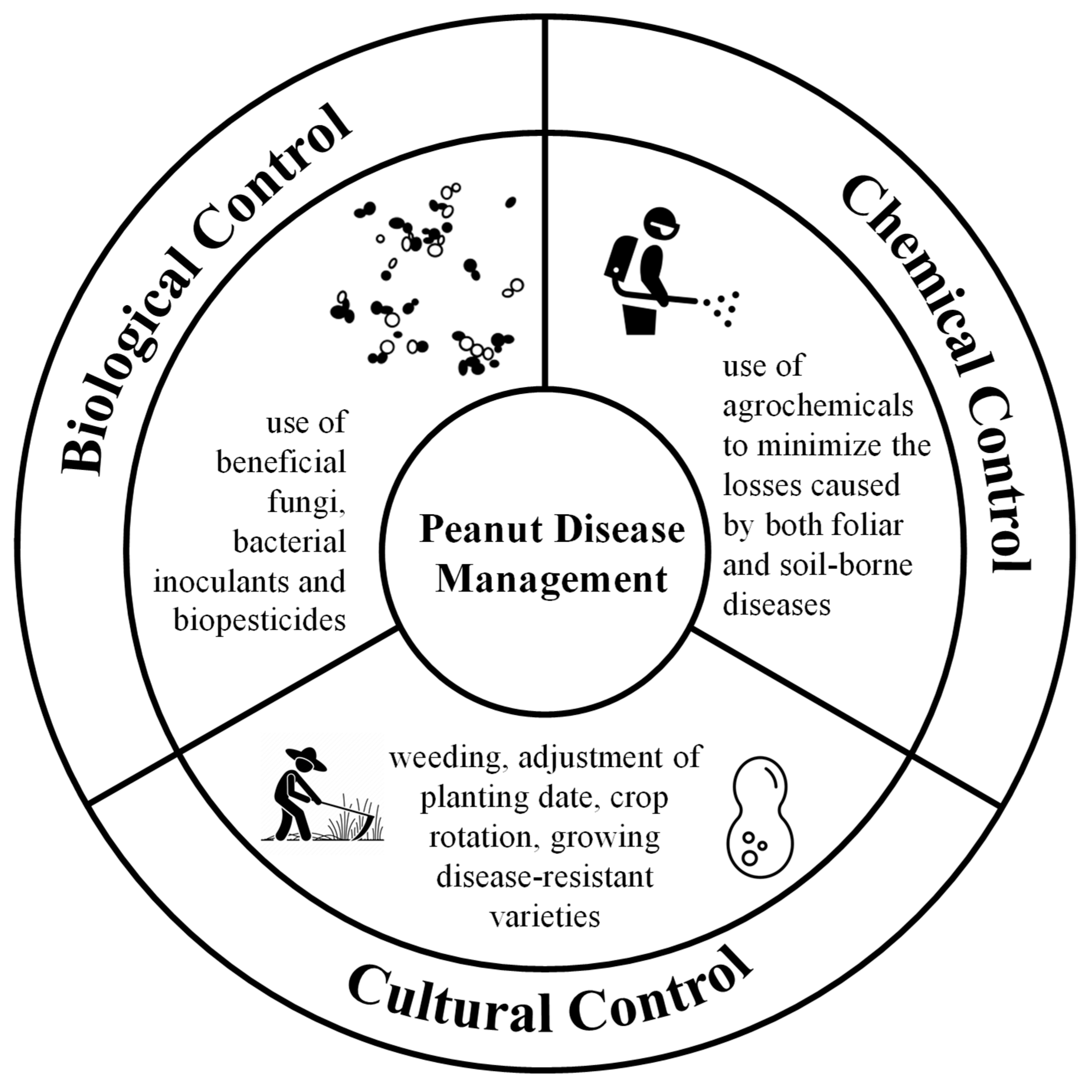Sensors 25 01255 g002 Sensors 25 01255 g002