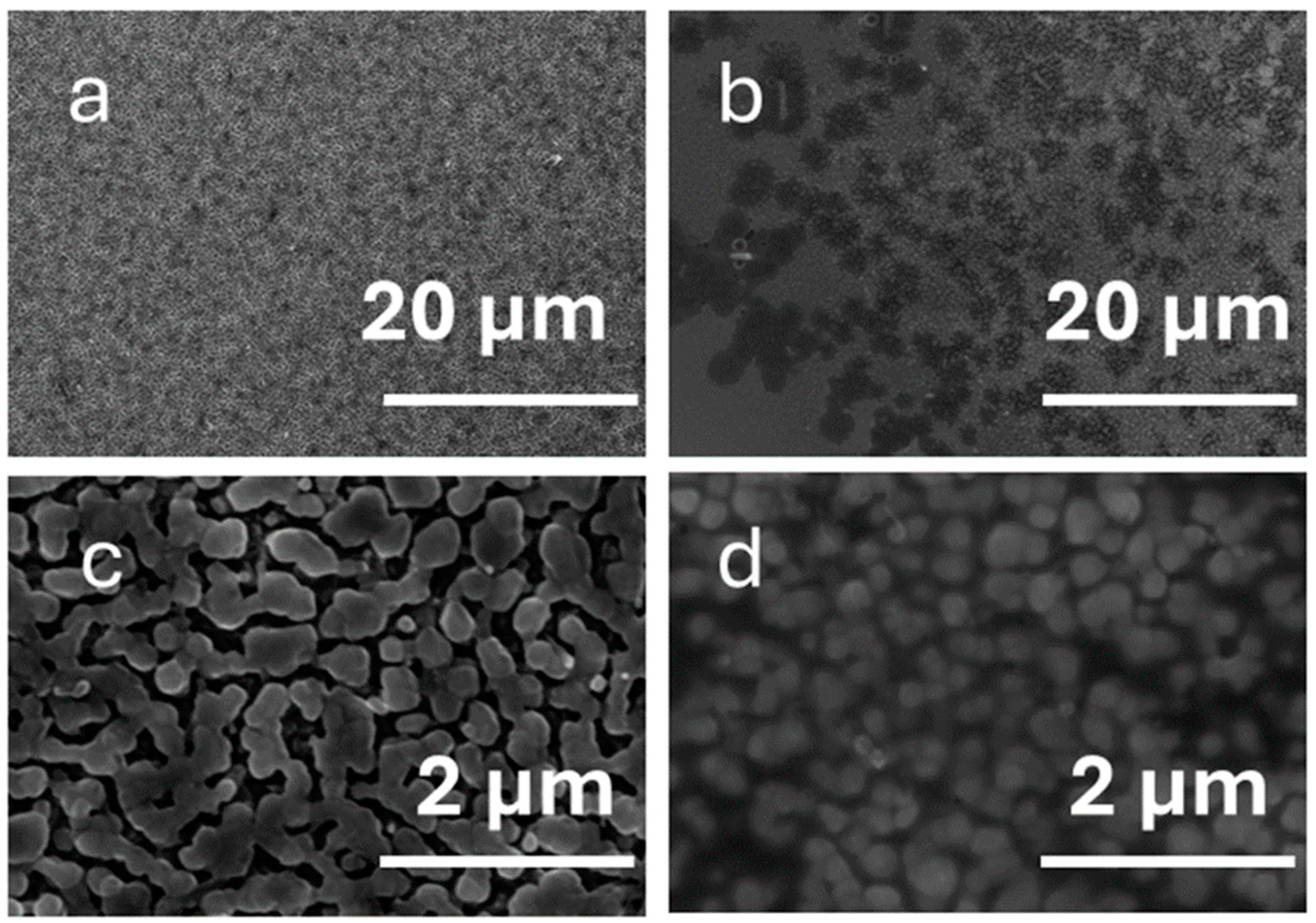 Sensors 25 01260 g002