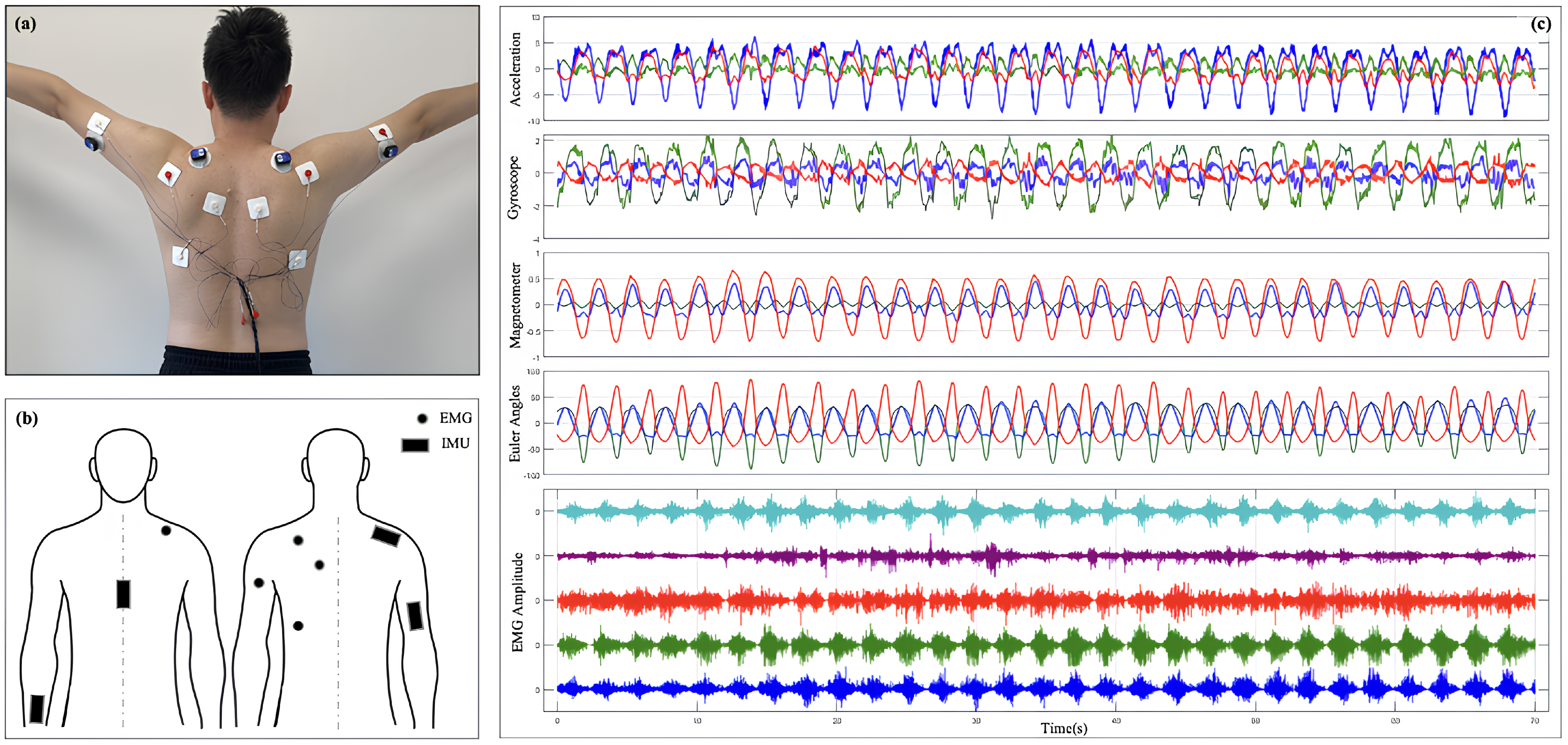 Sensors 25 01275 g001