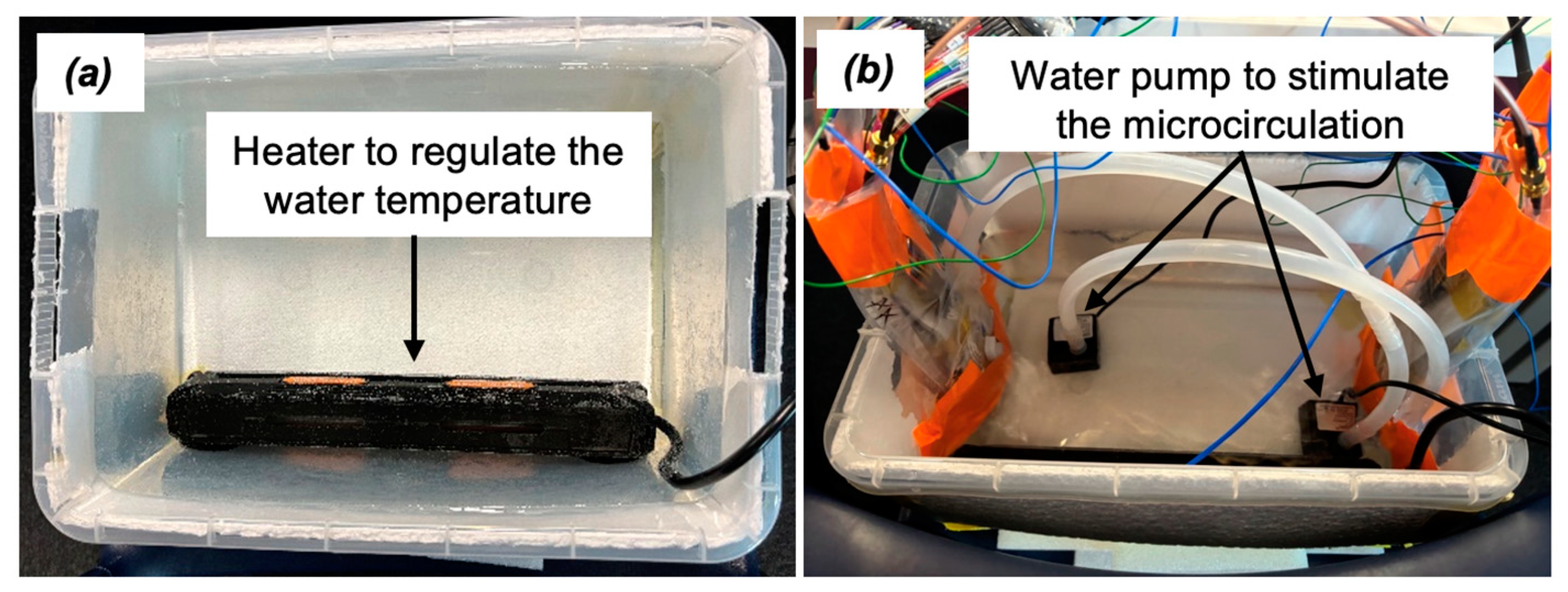 Sensors 25 01311 g004