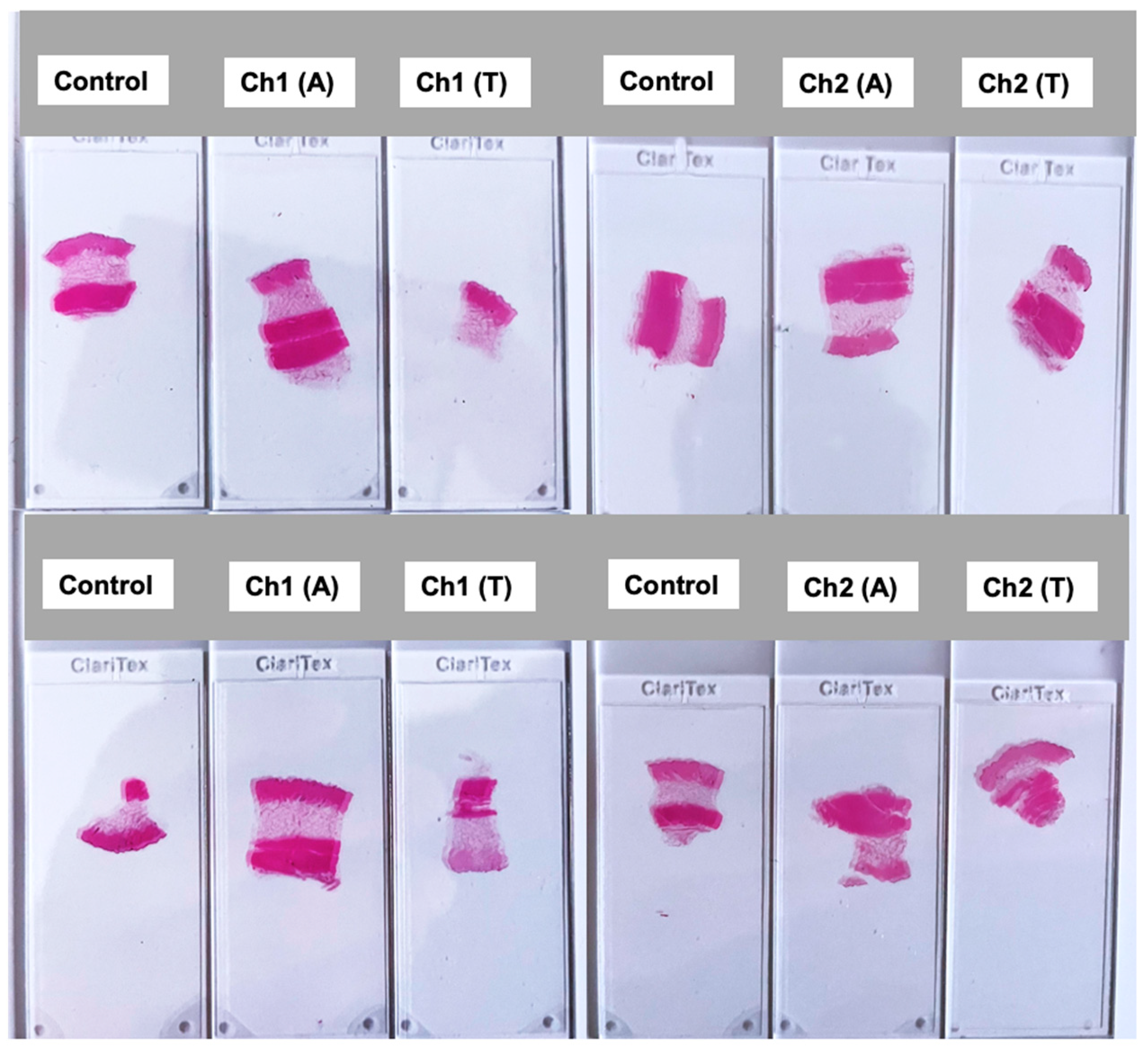 Sensors 25 01311 g006