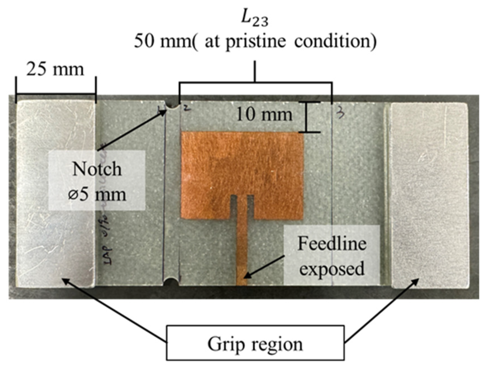 Sensors 25 01323 g008