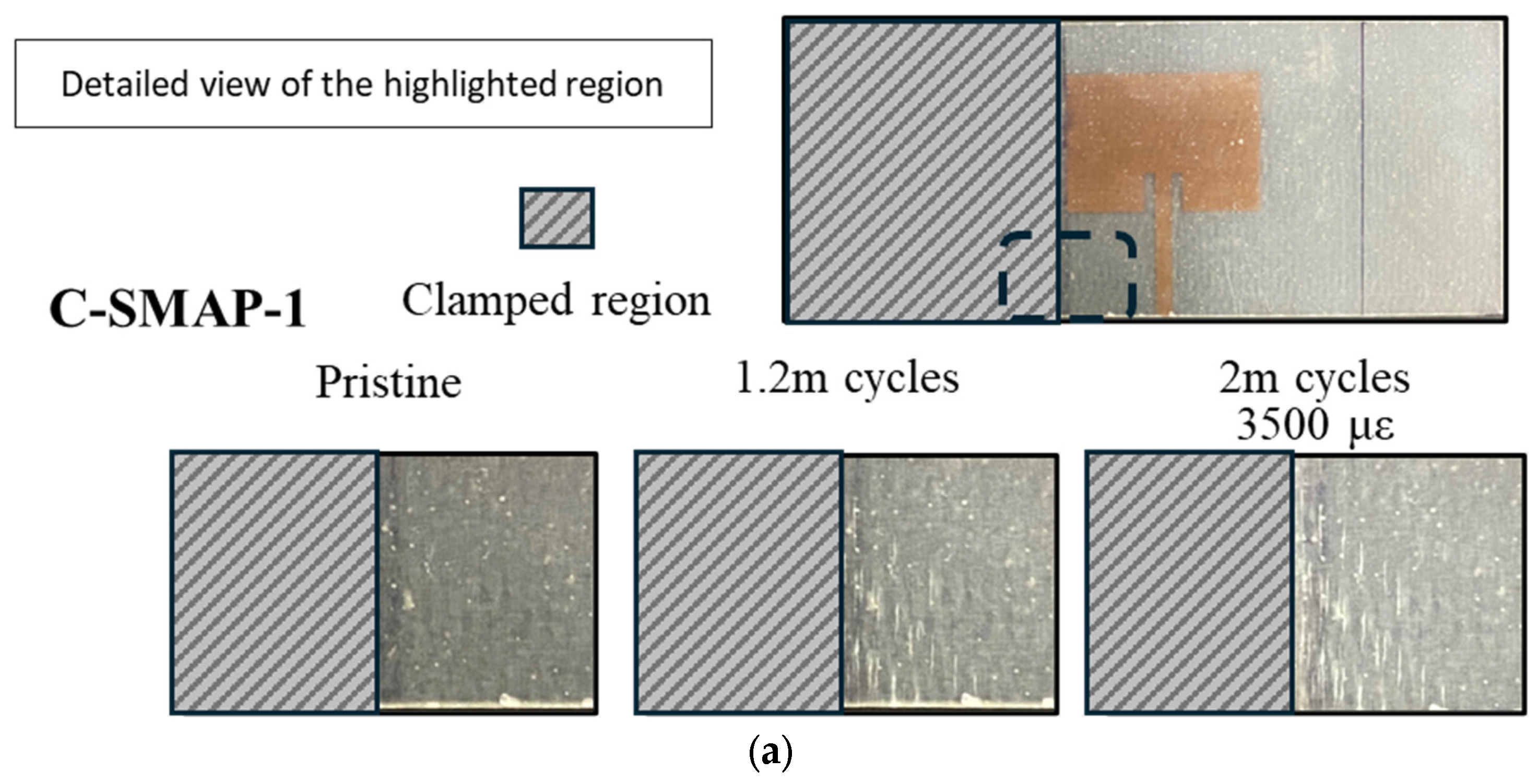 Sensors 25 01323 g017a