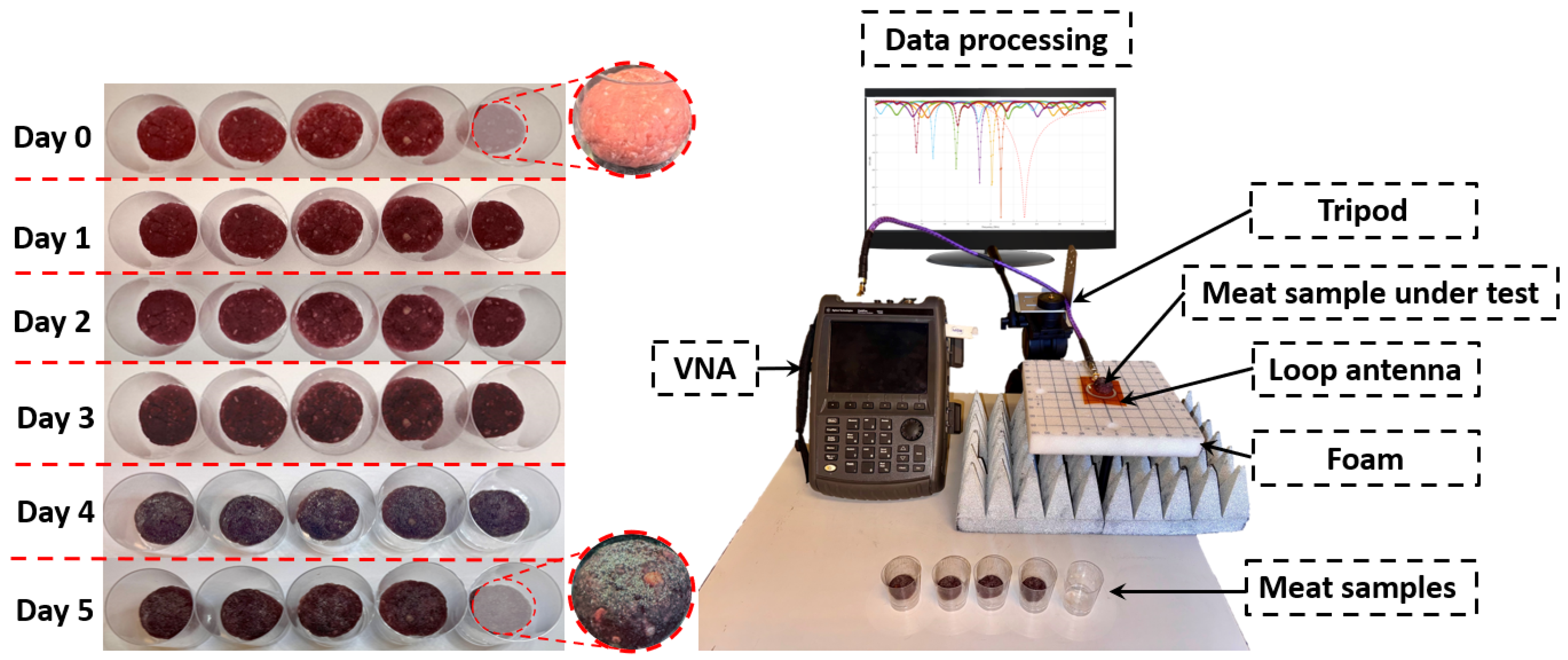 Sensors 25 01338 g005