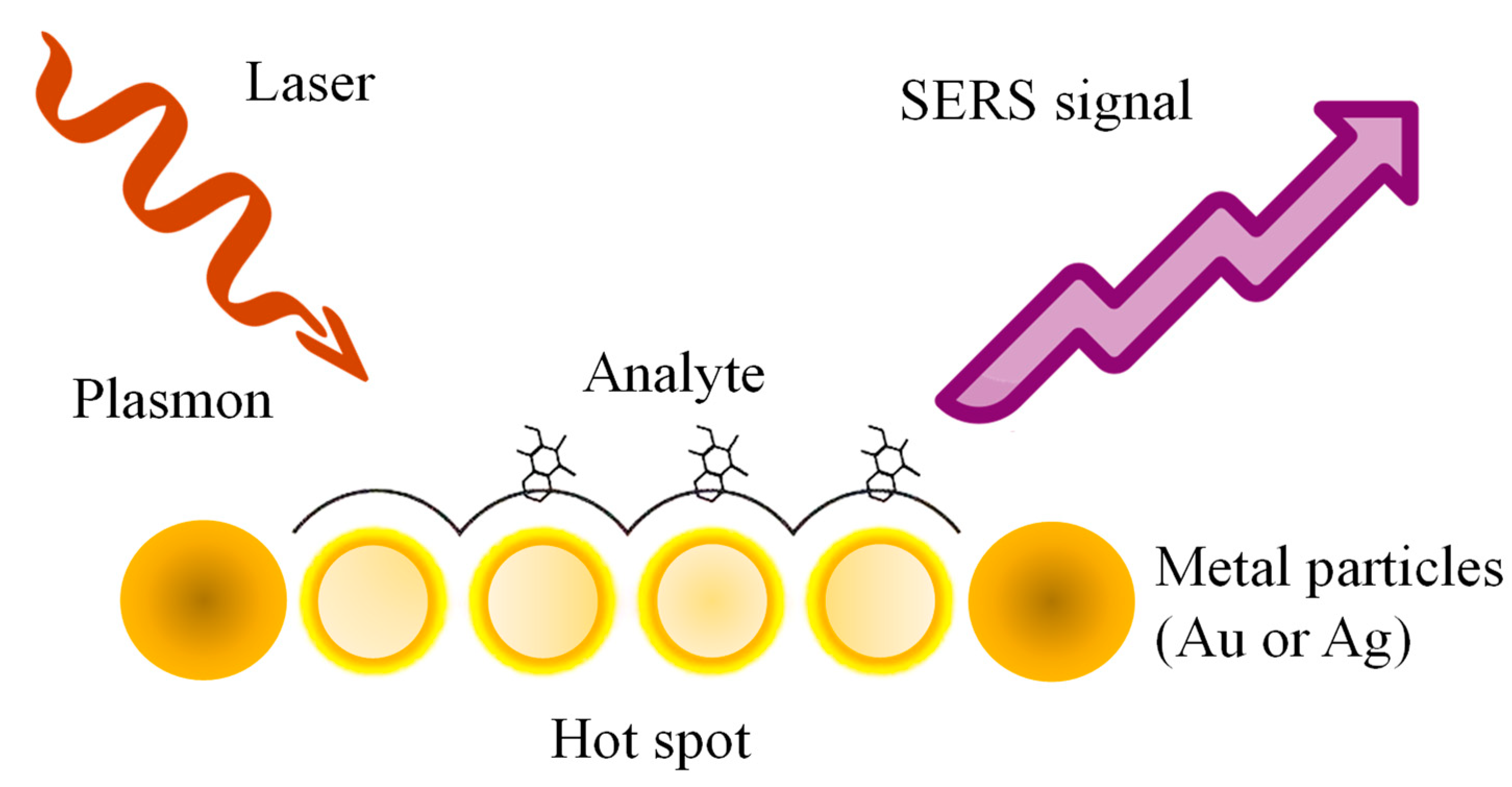 Sensors 25 01367 g002