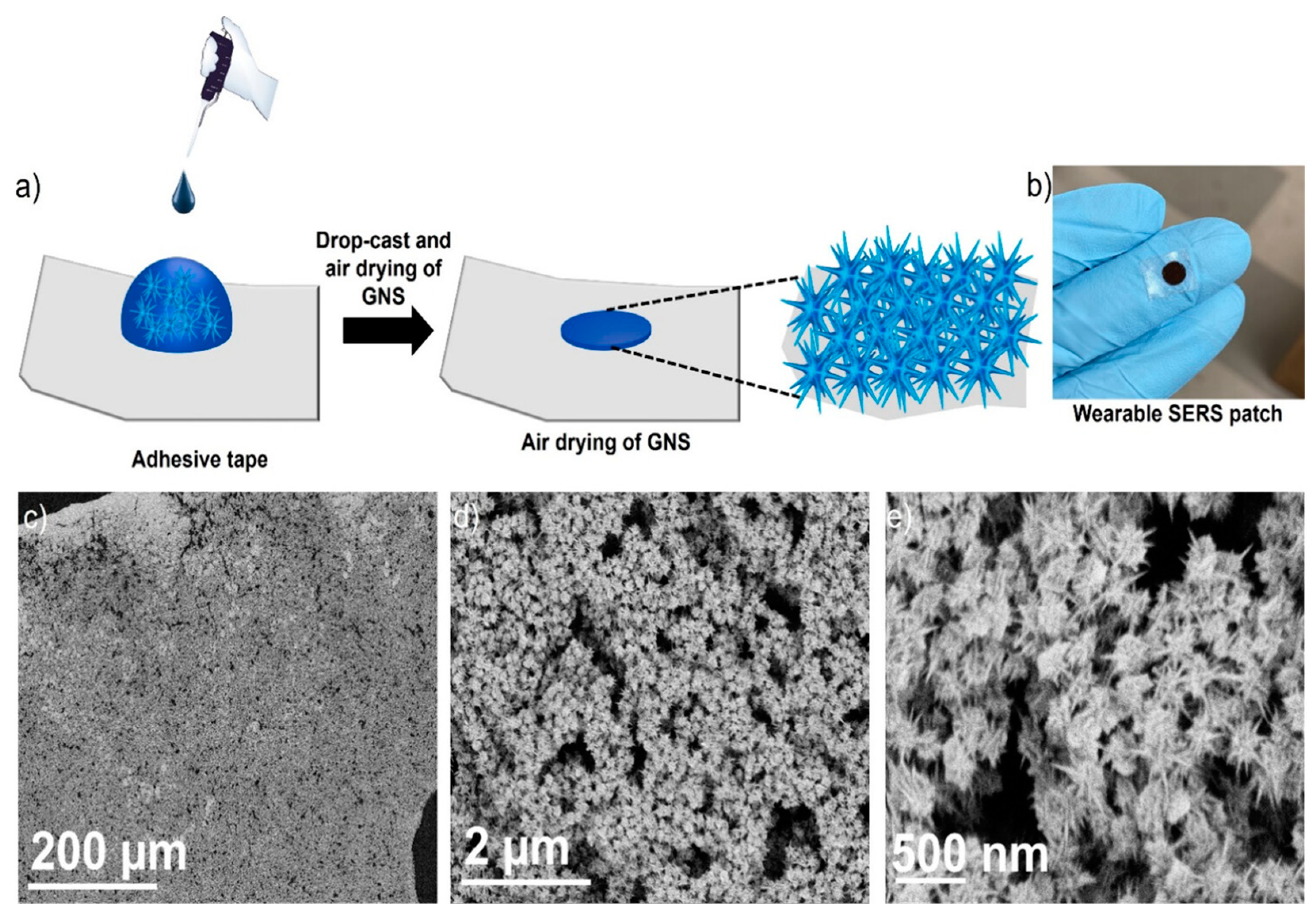 Sensors 25 01367 g012