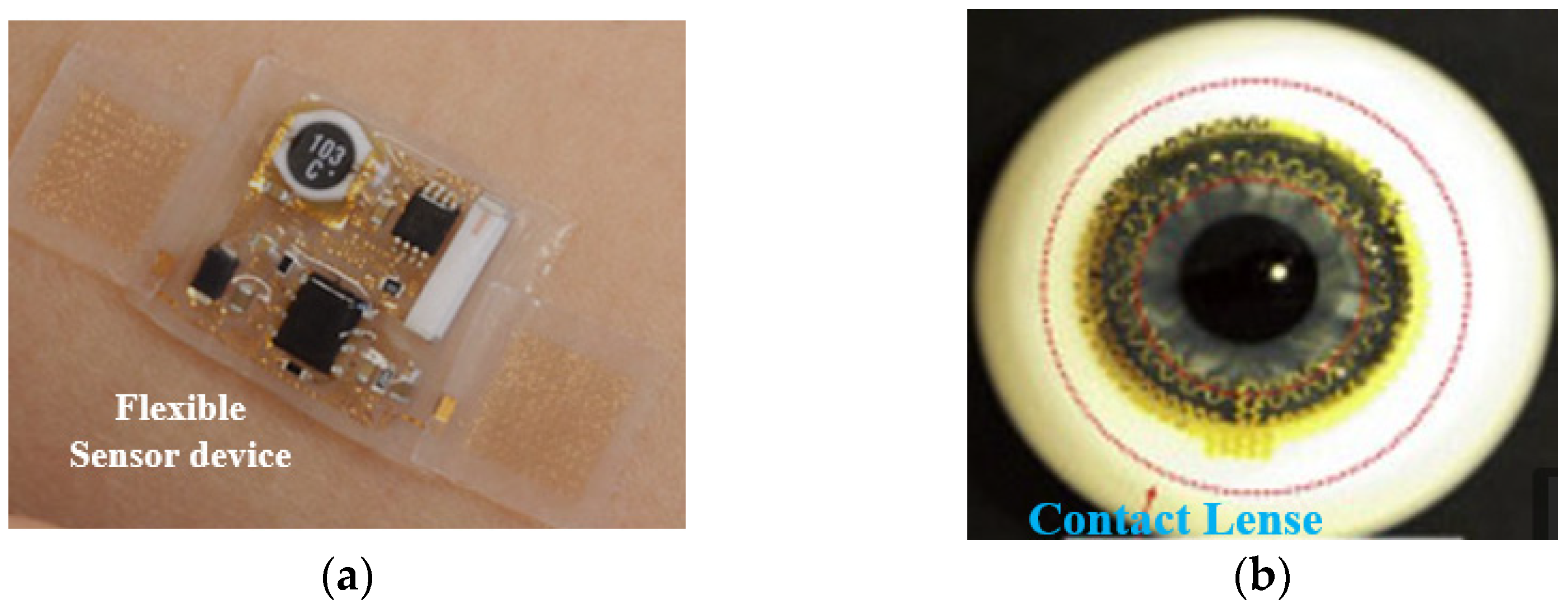 Sensors 25 01377 g002