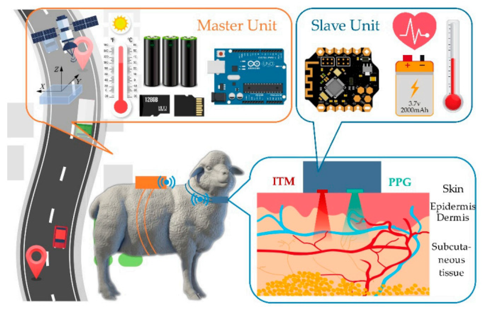 Sensors 25 01377 g020