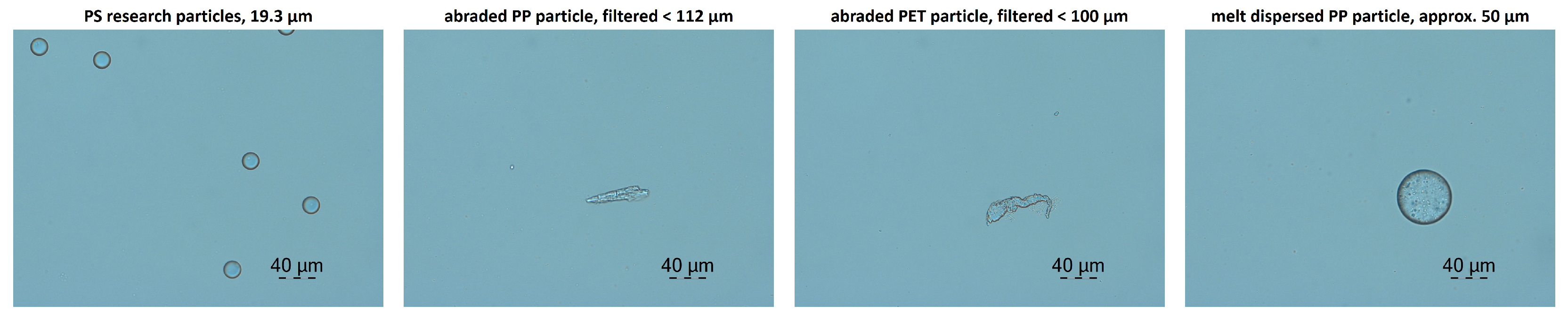 Sensors 25 01390 g001