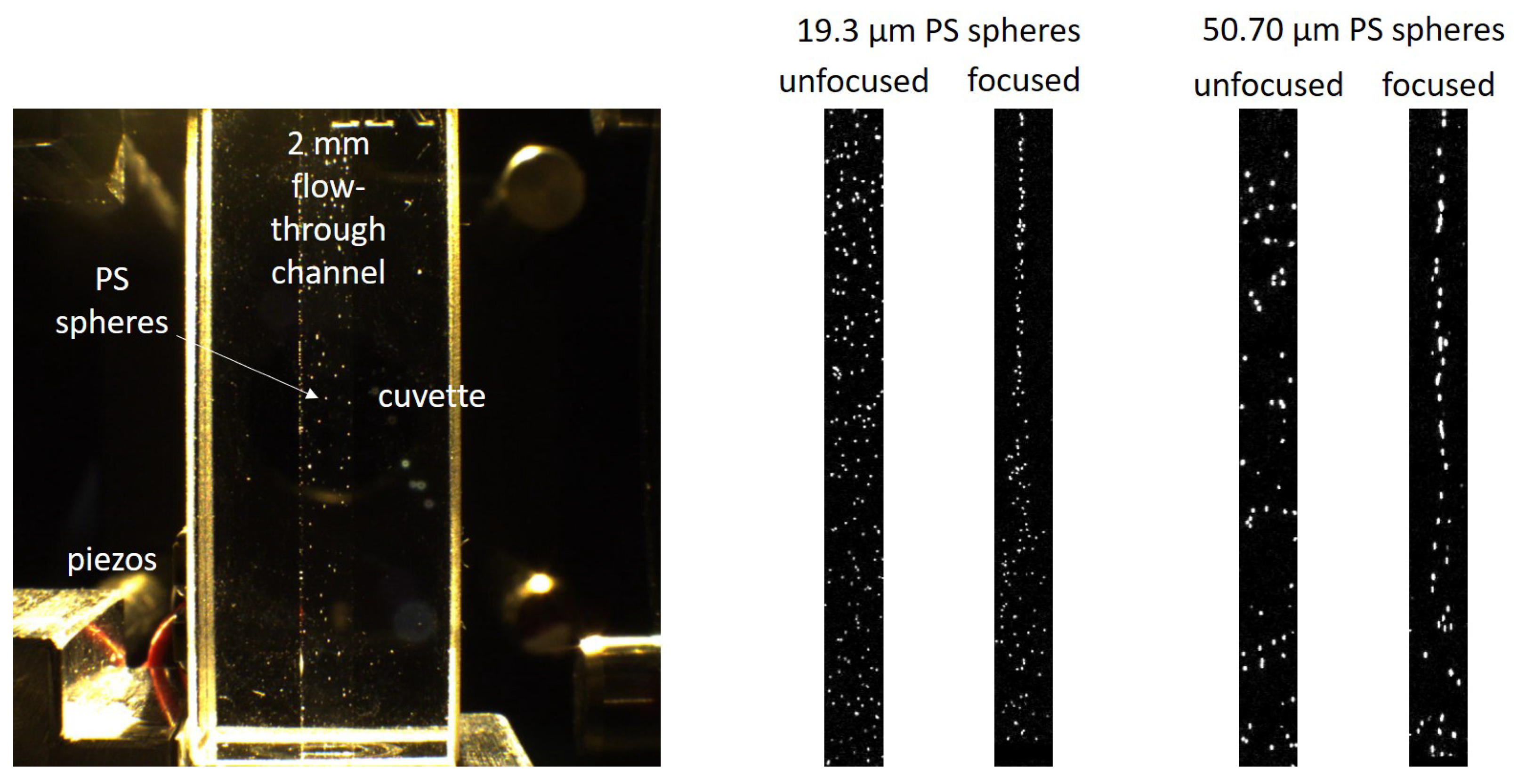 Sensors 25 01390 g005