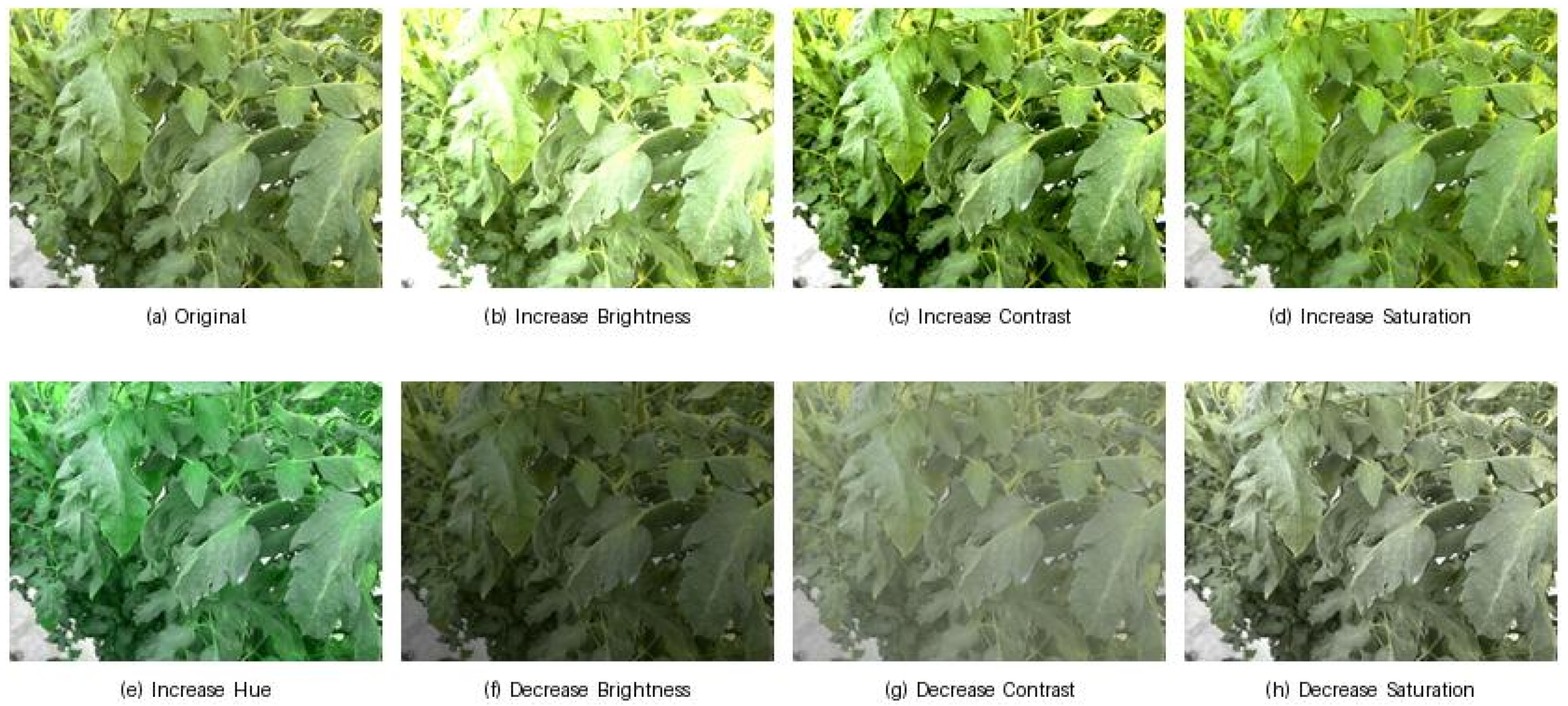 Sensors 25 01398 g006