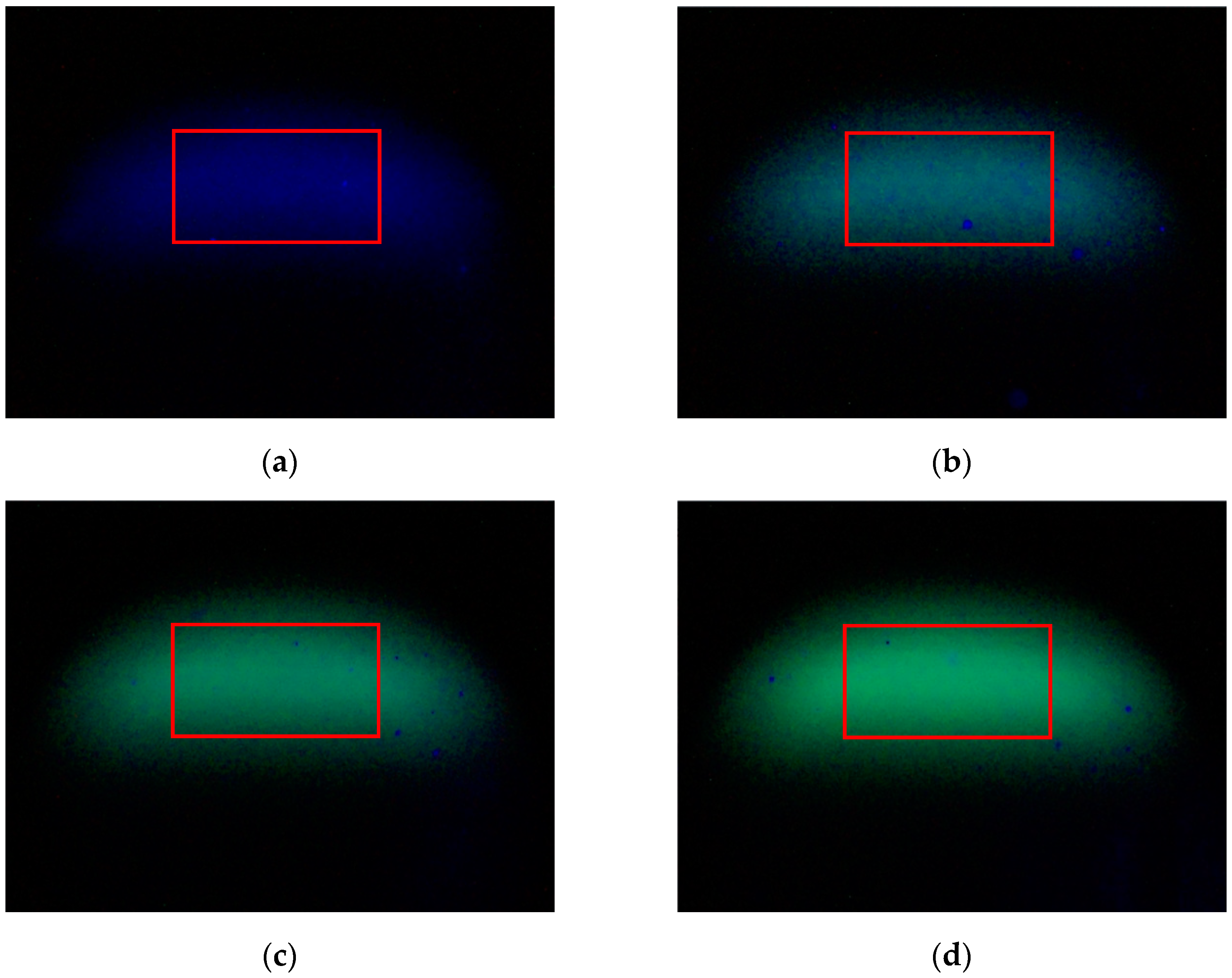 Sensors 25 01404 g004