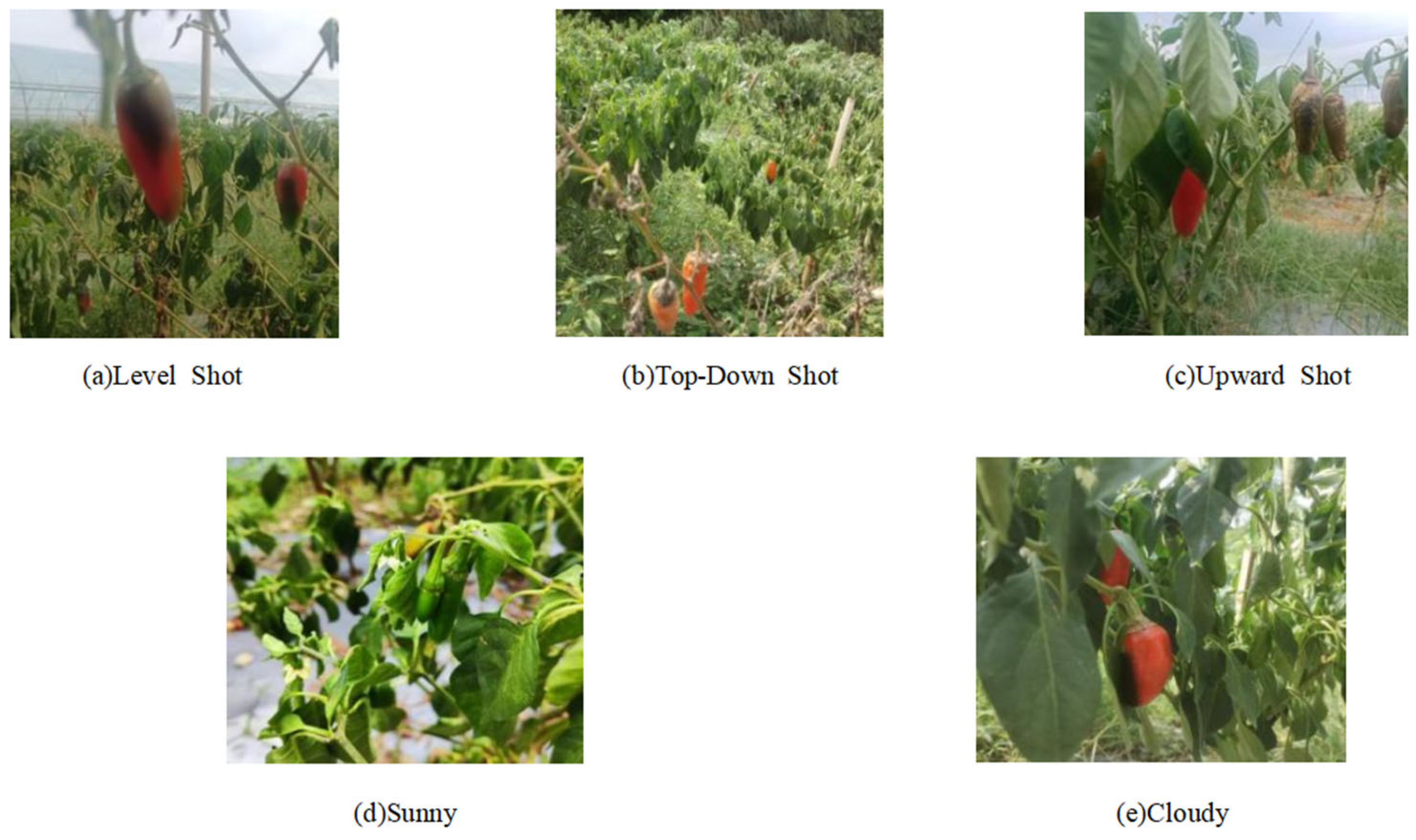 Sensors 25 01405 g001