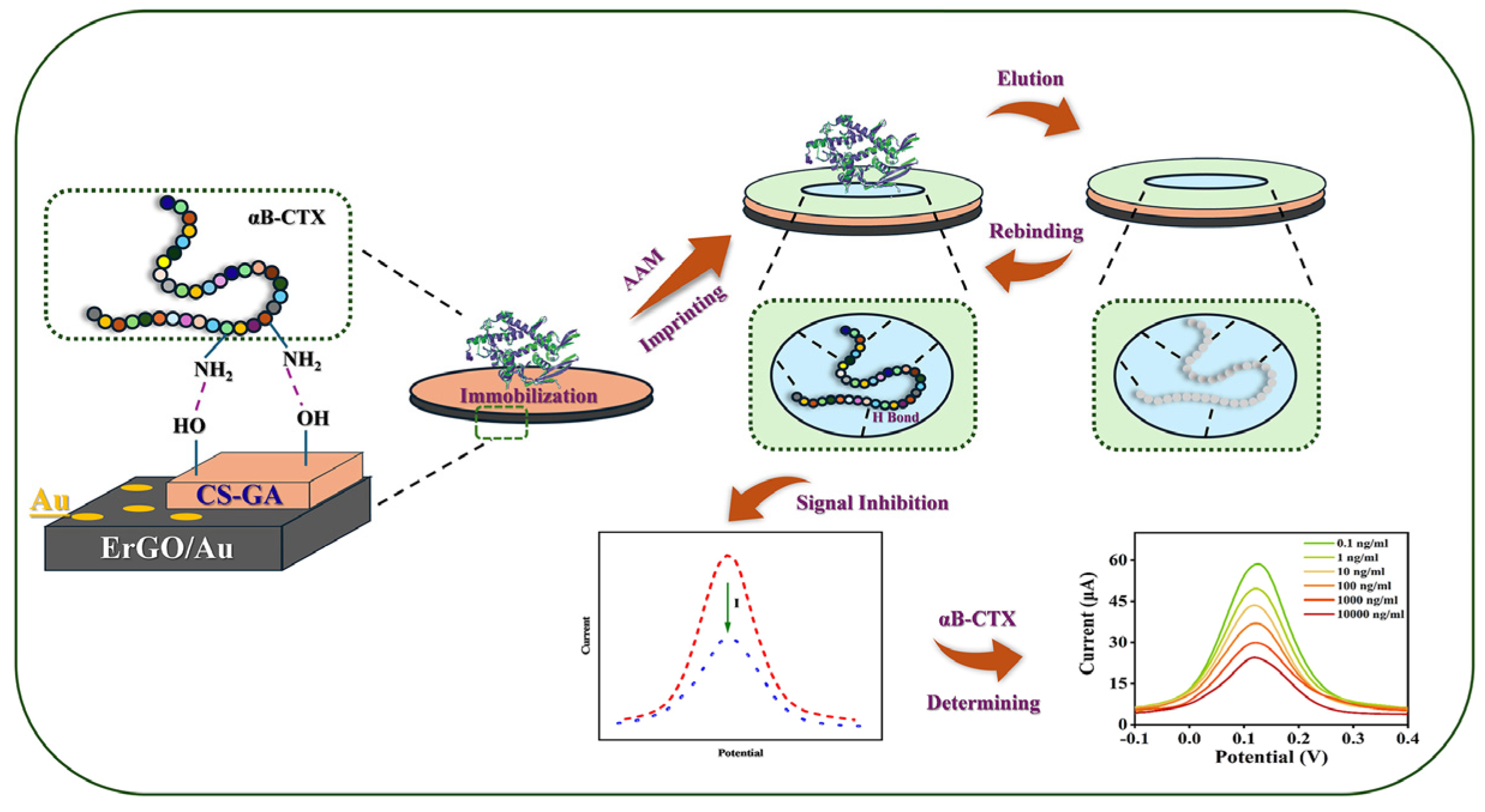 Sensors 25 01408 g001