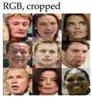 Sensors 25 01410 i010