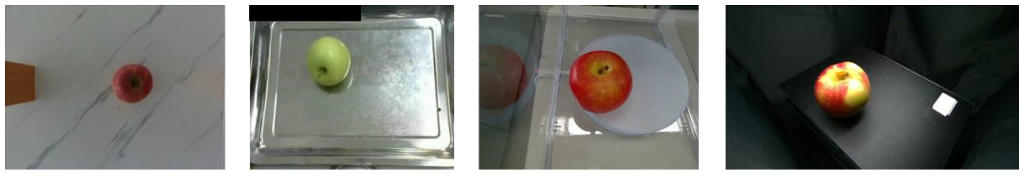 Sensors 25 01422 g001