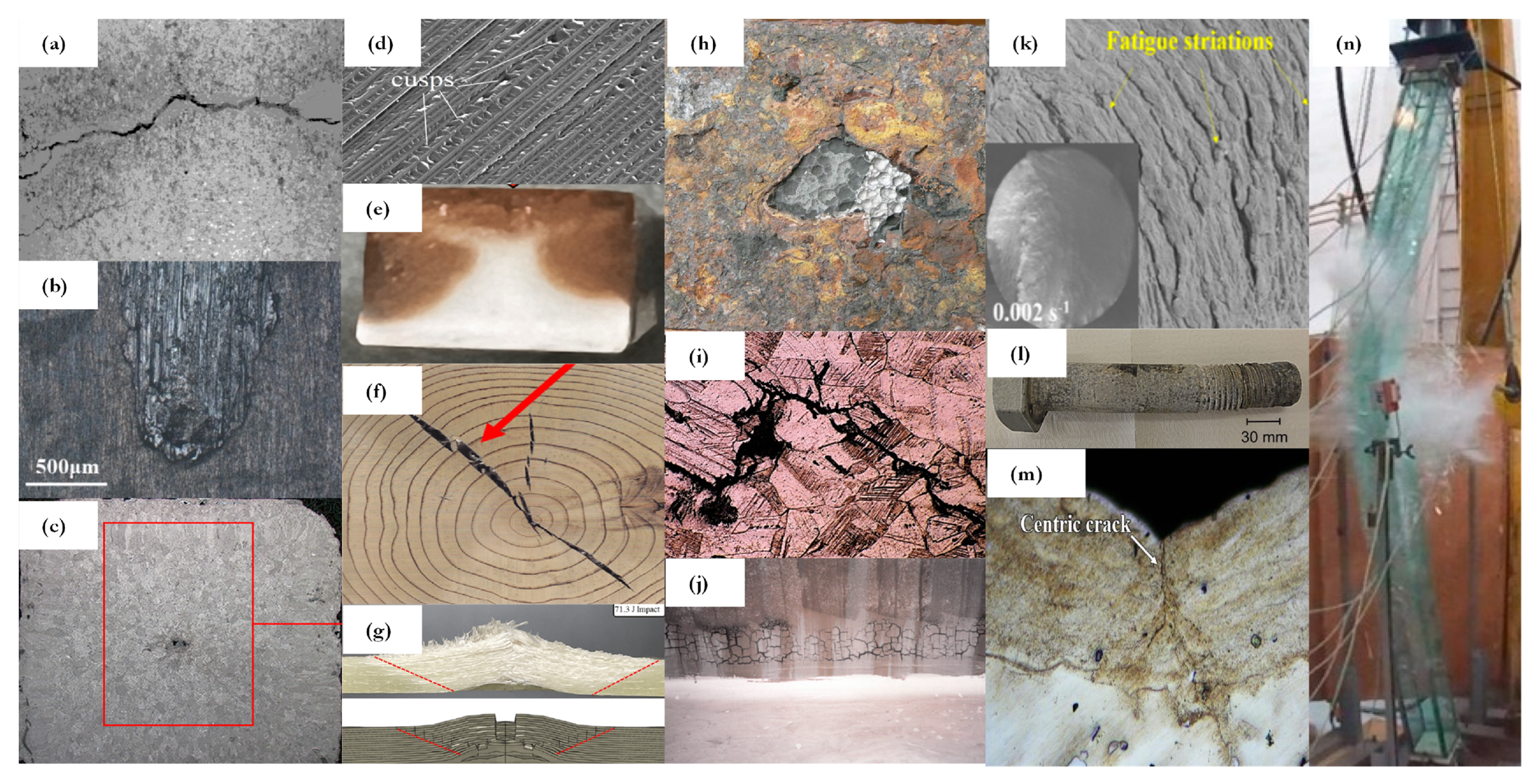 Sensors 25 01424 g002