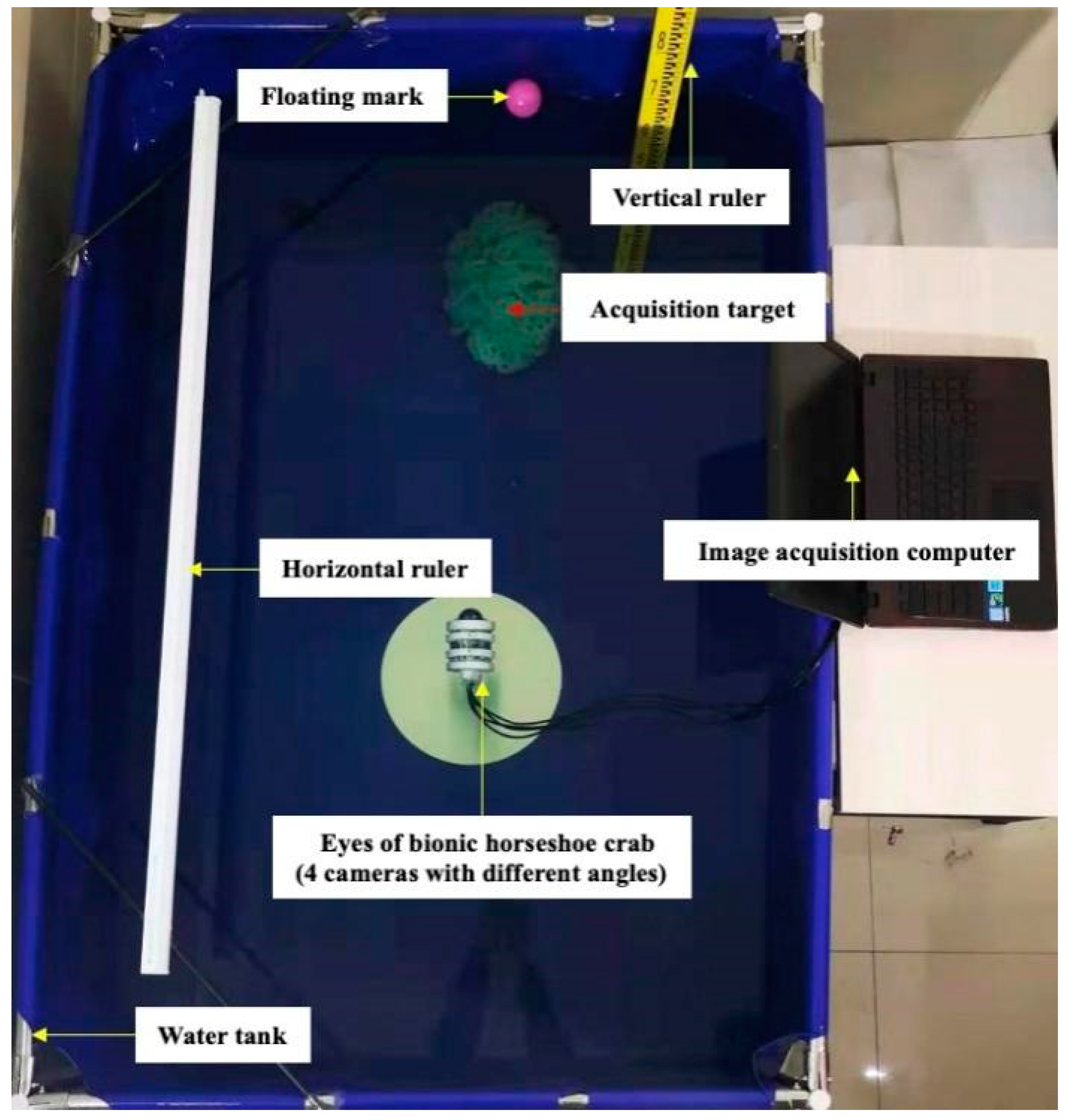 Sensors 25 01443 g004