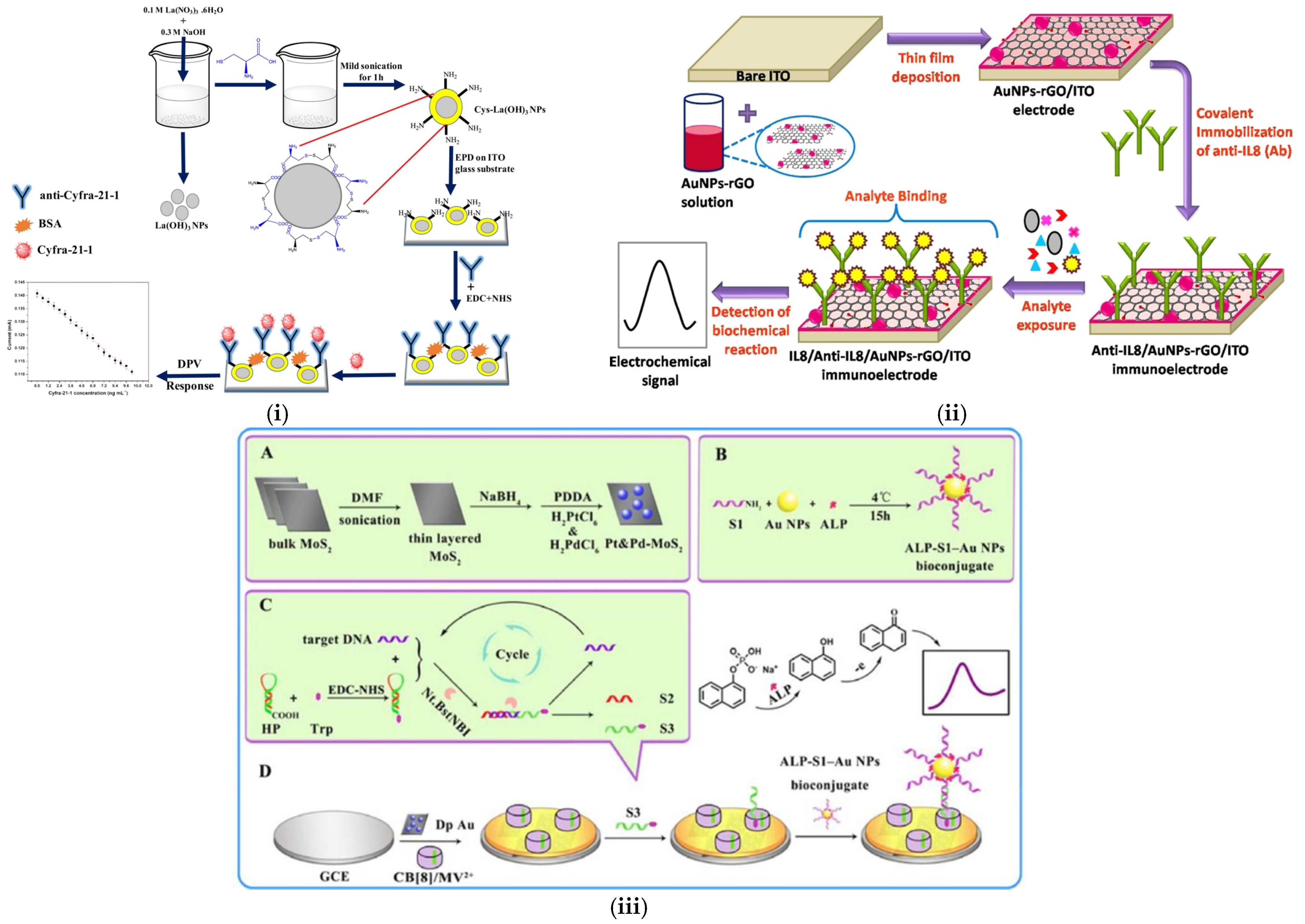 Sensors 25 01459 g005