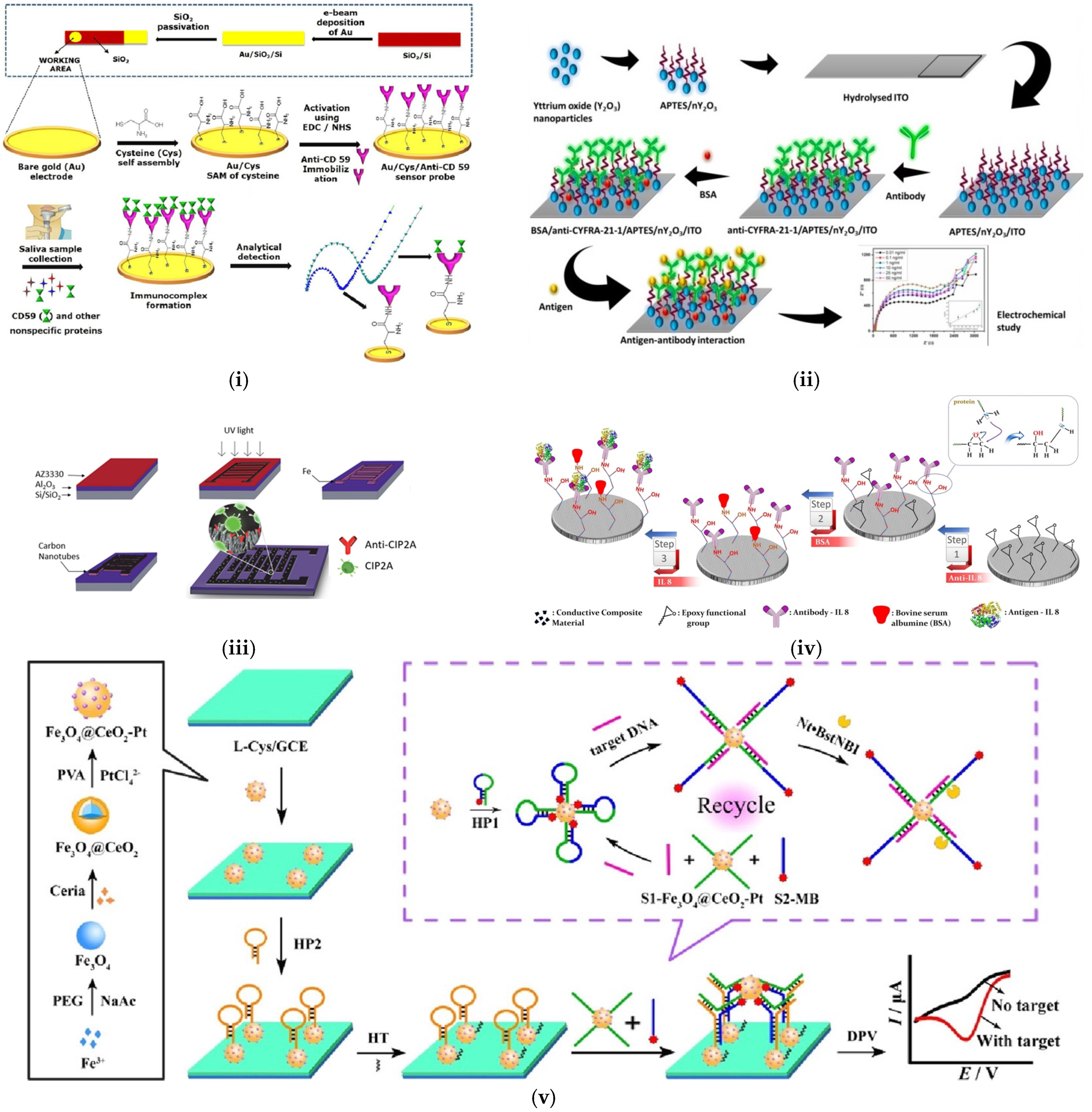 Sensors 25 01459 g006