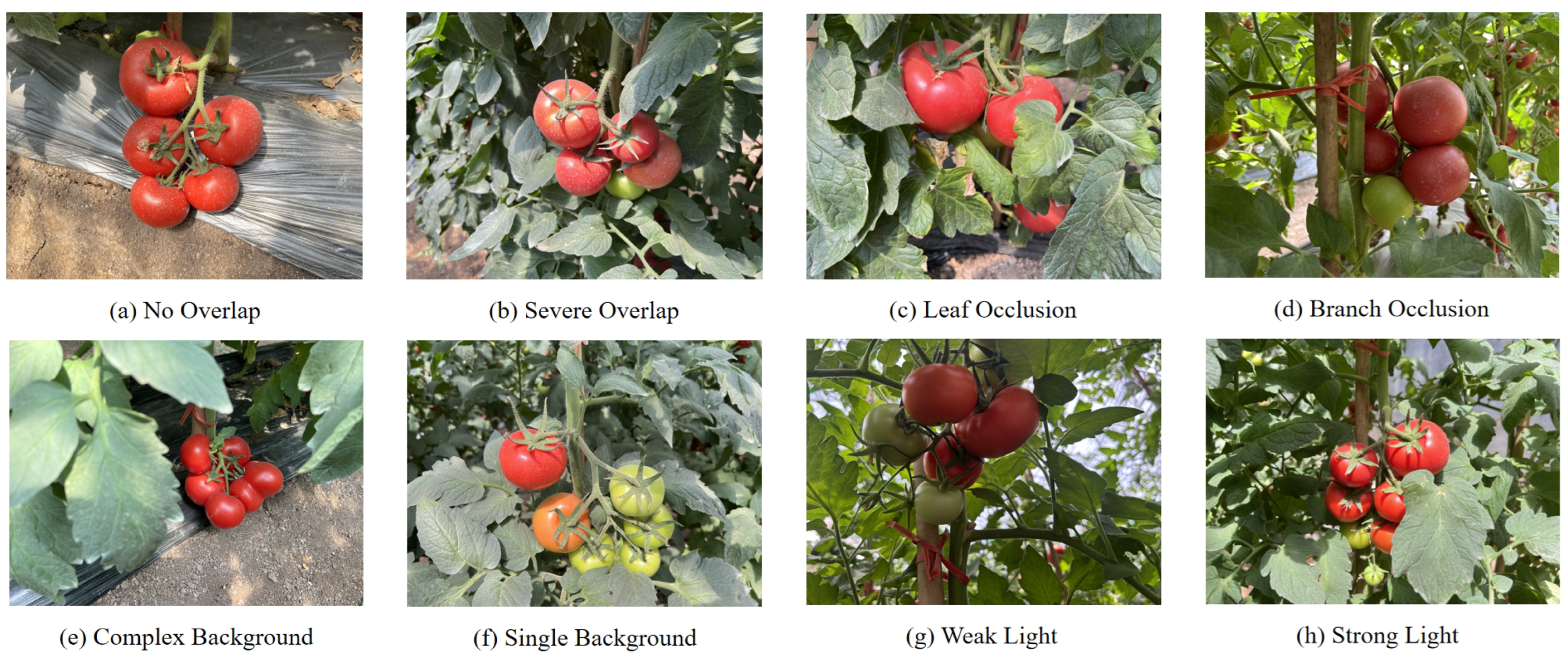 Sensors 25 01502 g001