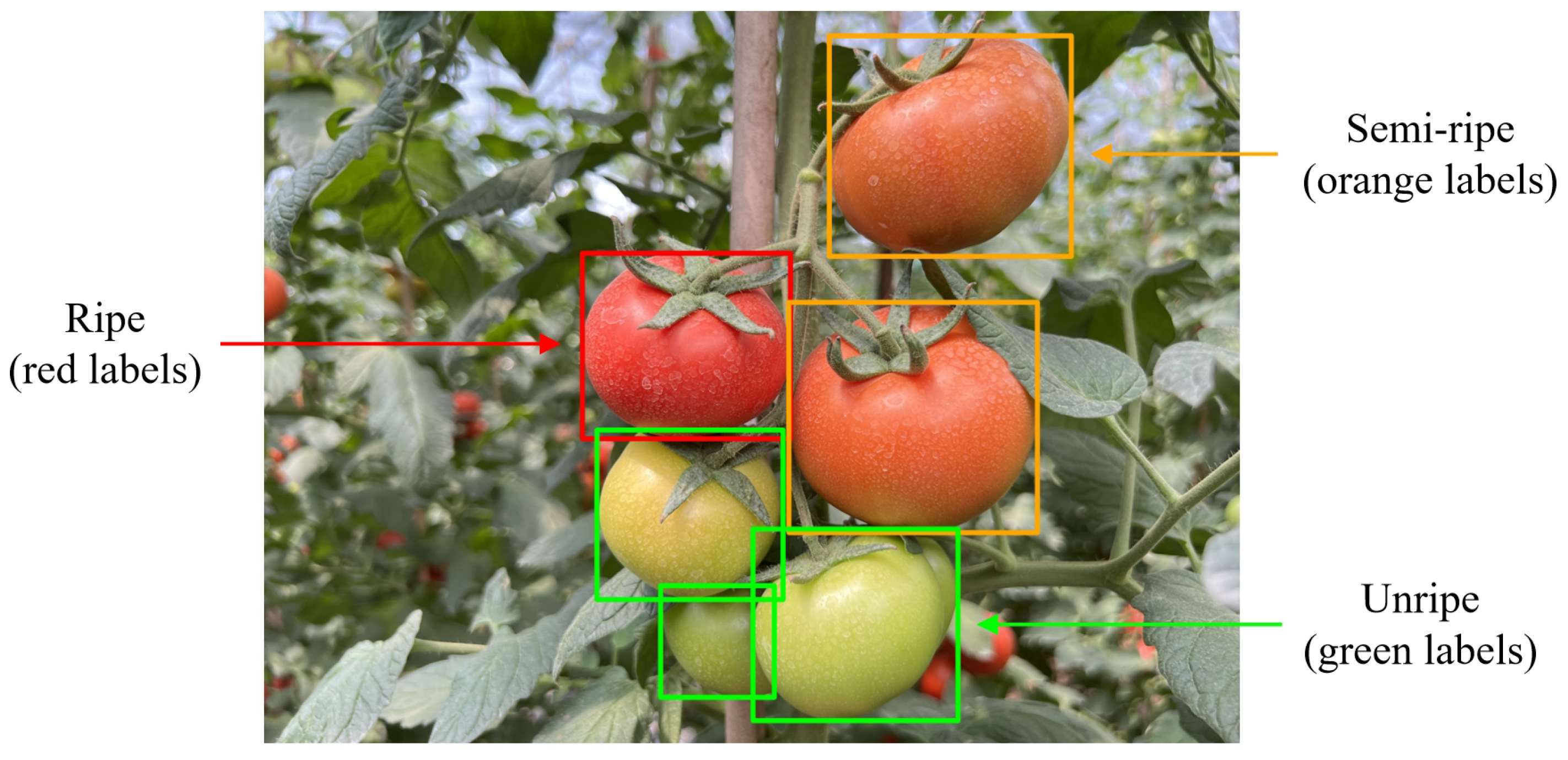 Sensors 25 01502 g002